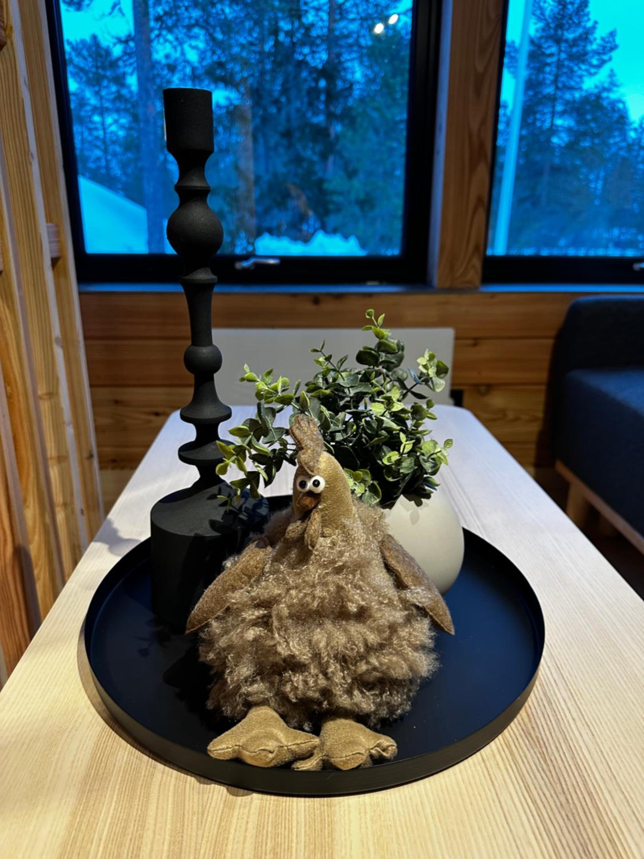Photo 31