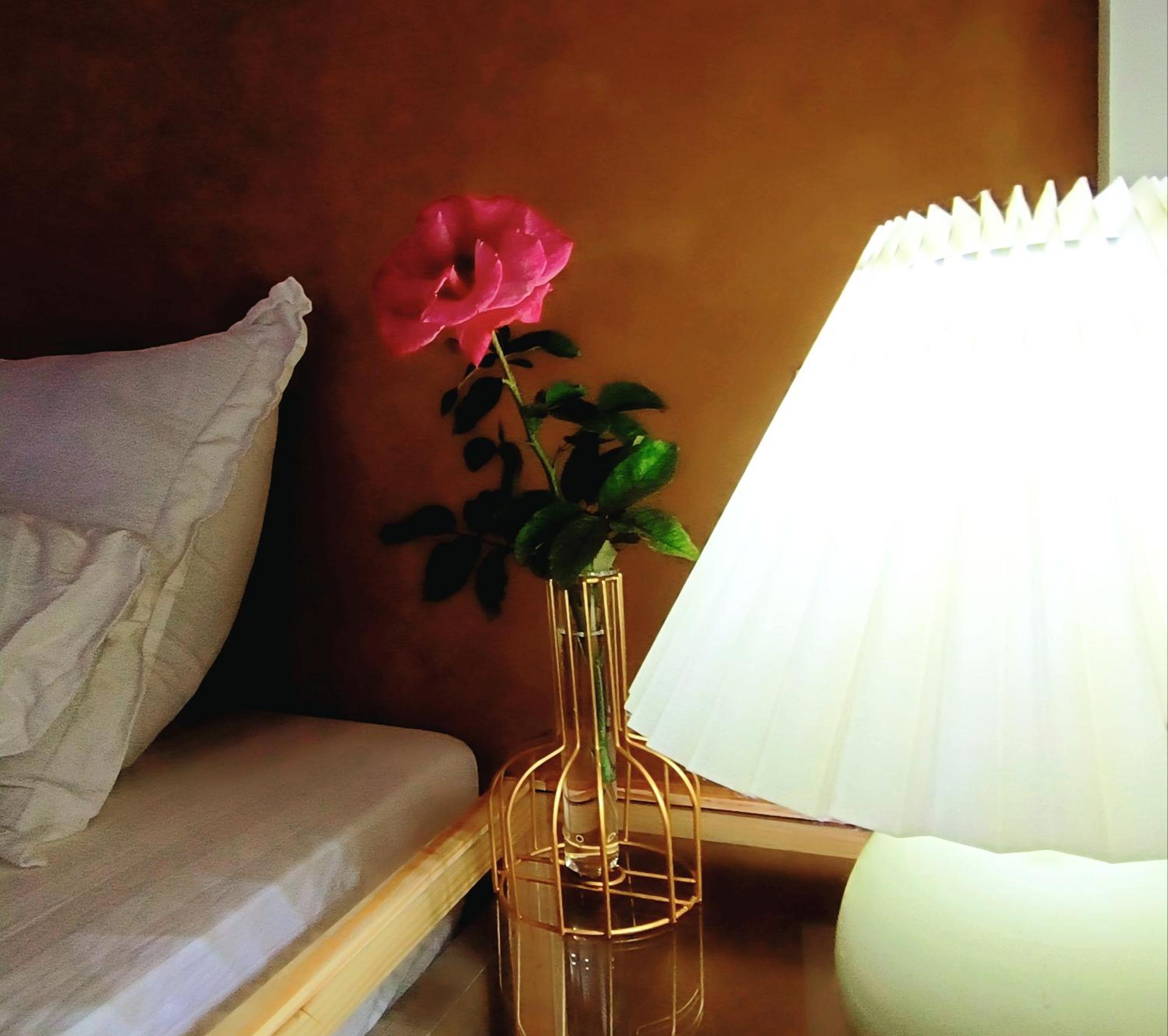 Lullaby homestay