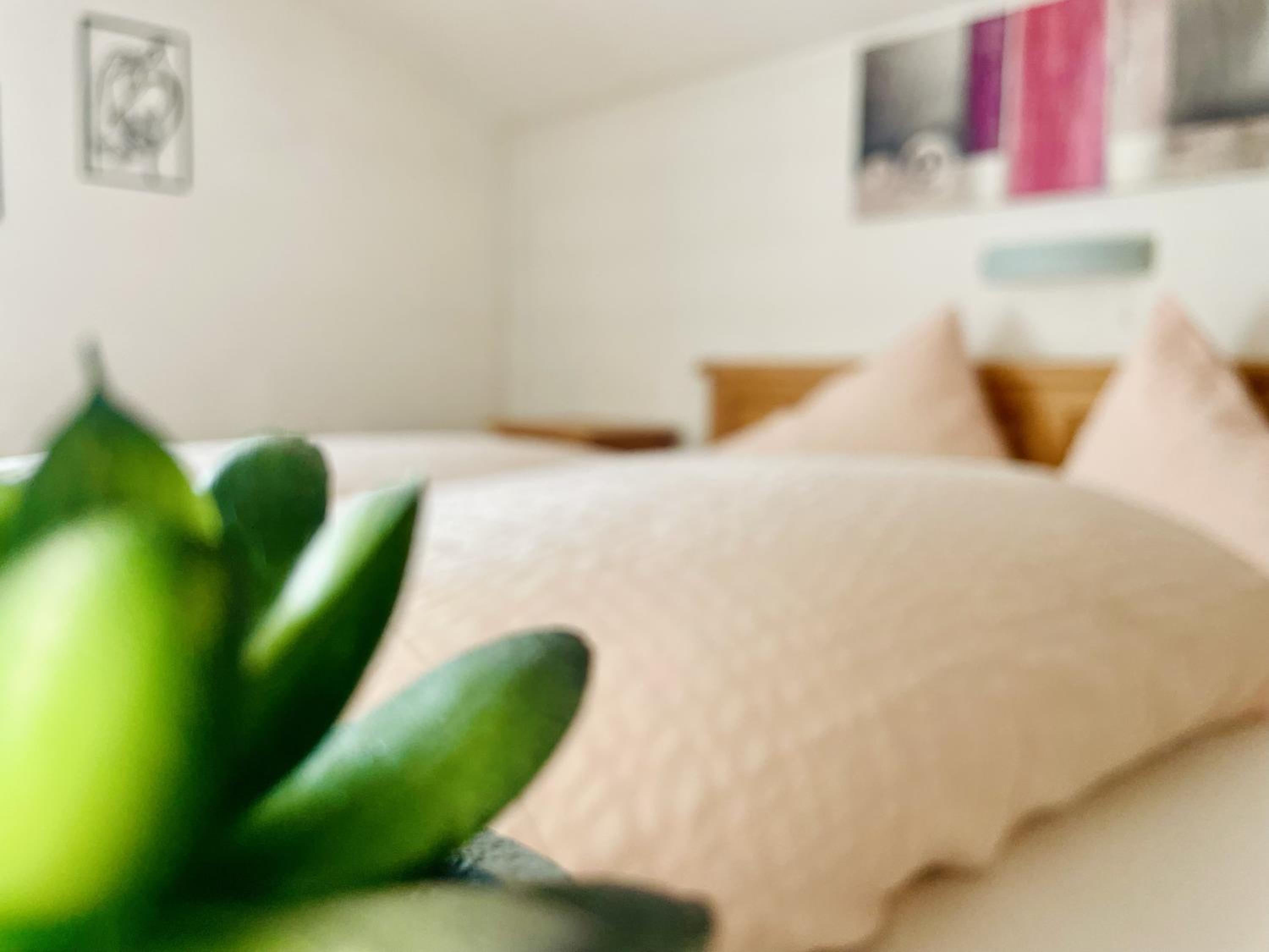 Pop-up2 Apartment - Zentral, Balkon, wandern, biken