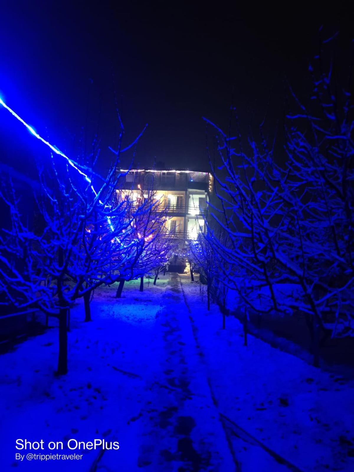 Trancemania Manali