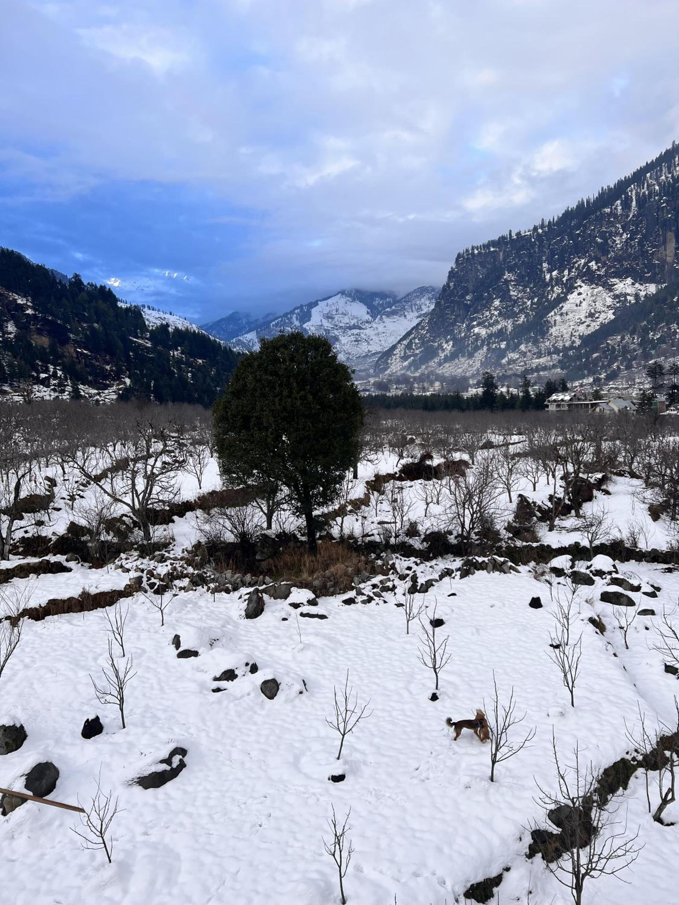 Trancemania Manali