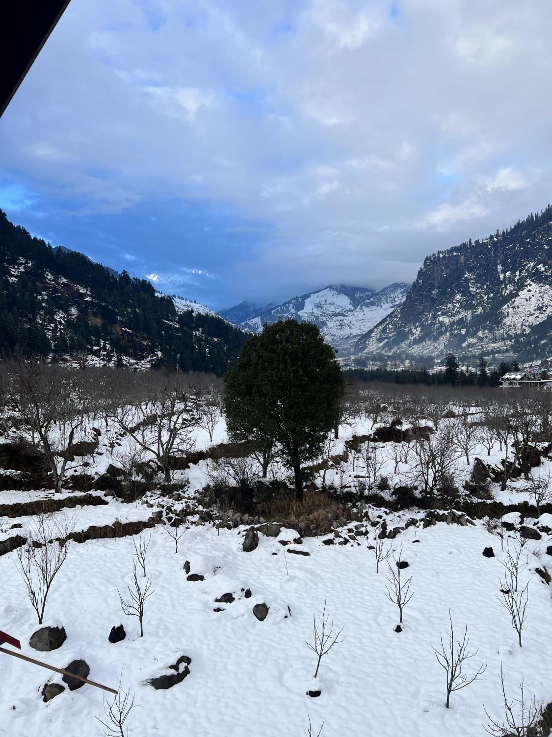 Trancemania Manali