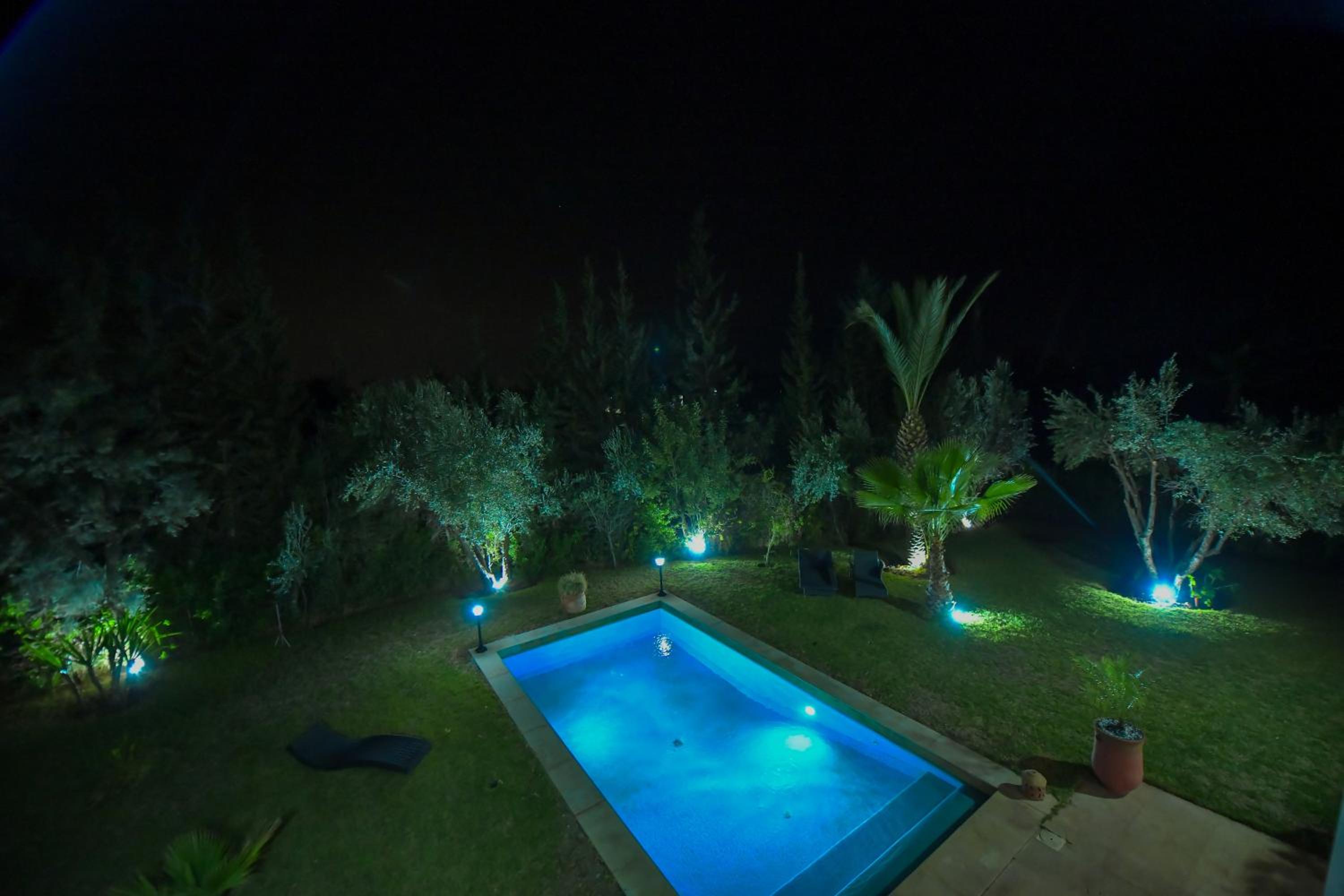 Photo 8