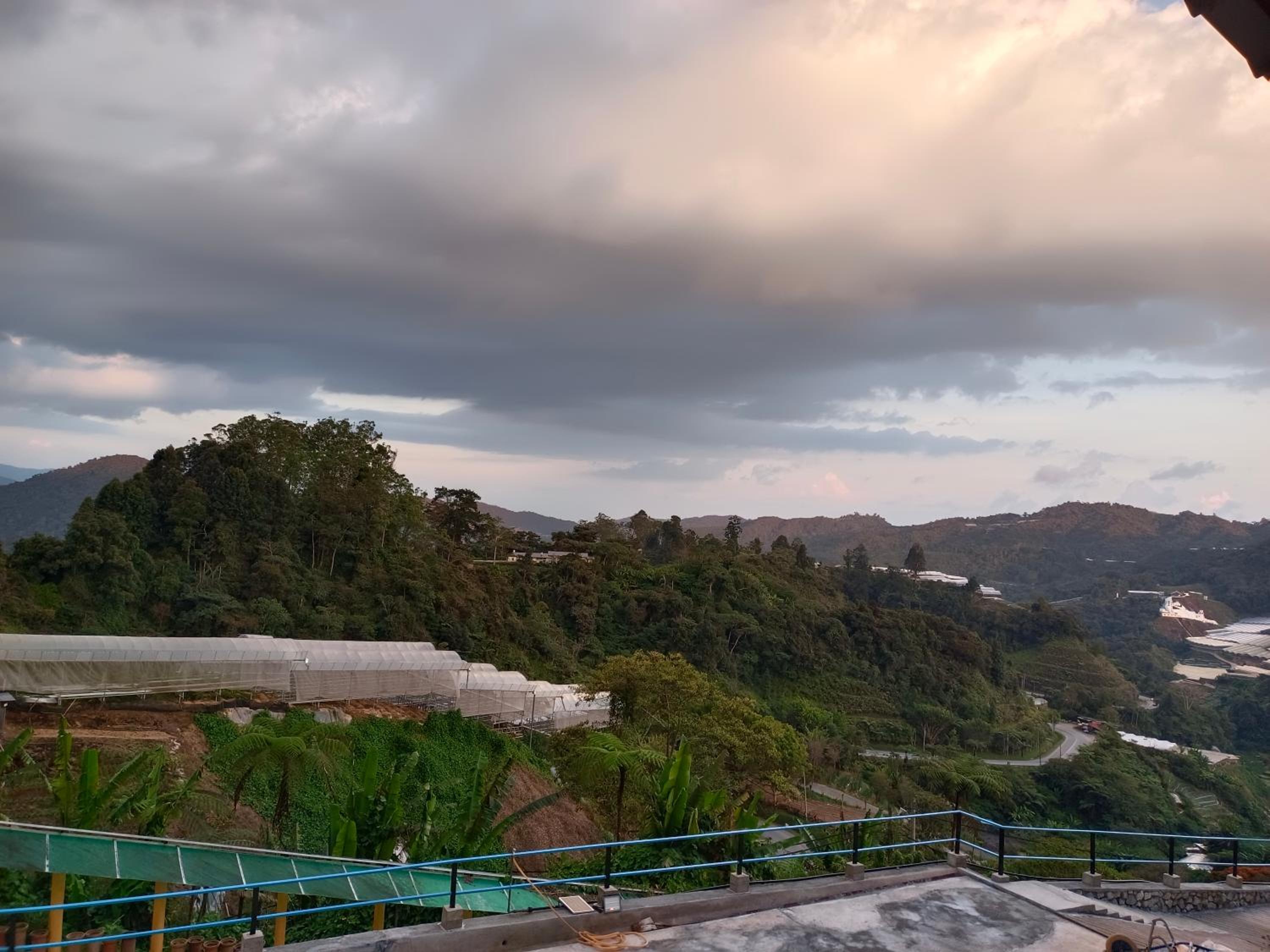 Cameron Highlands Blueberry Earth House
