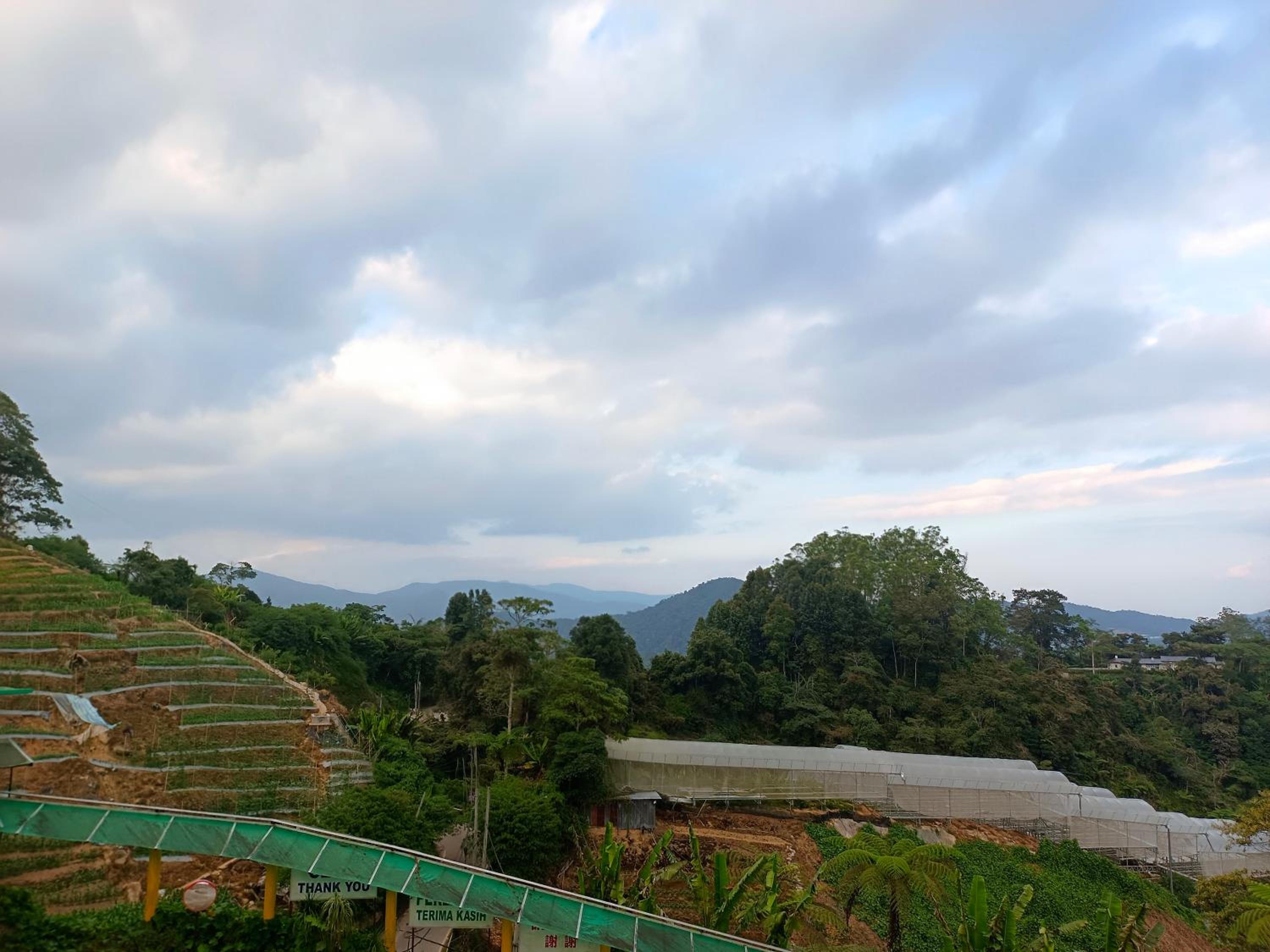 Cameron Highlands Blueberry Earth House