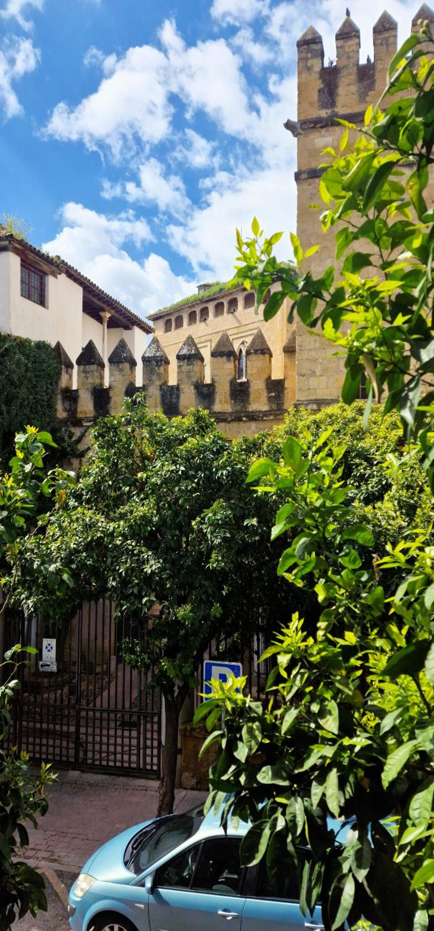 DS Casa San Fernando