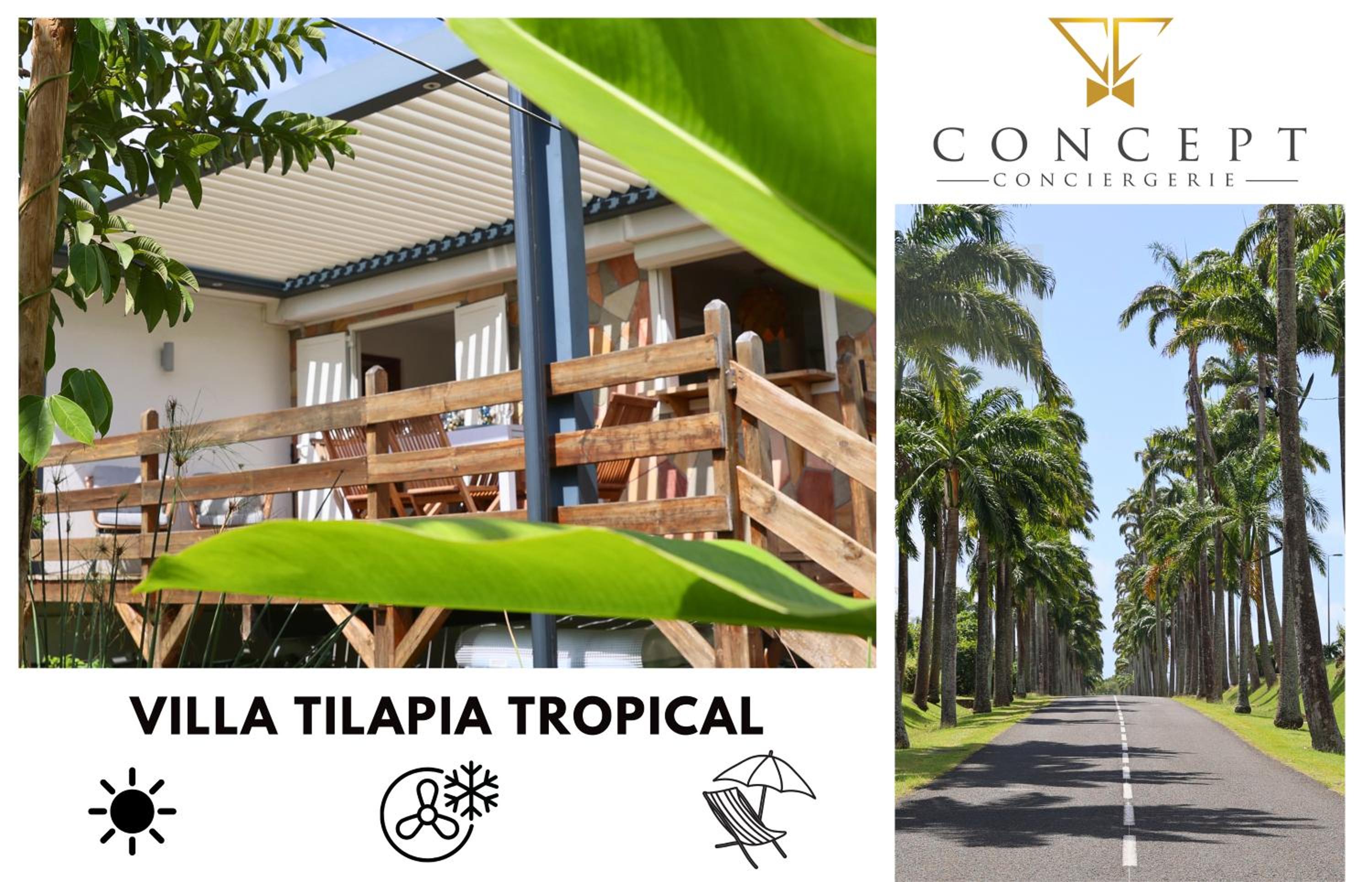 Villa Tilapia Tropical view 4