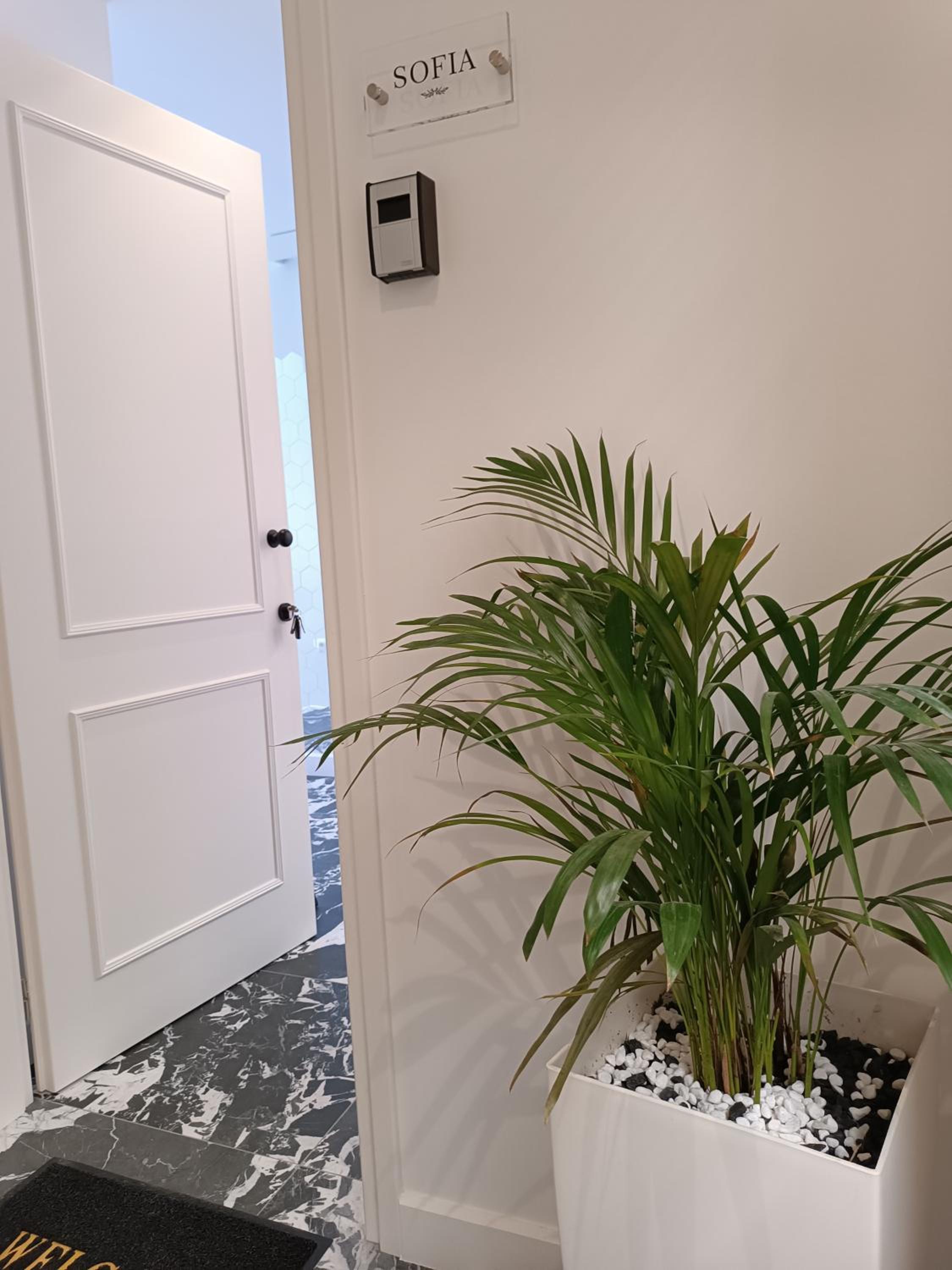 MUSES LUXURY SUITES