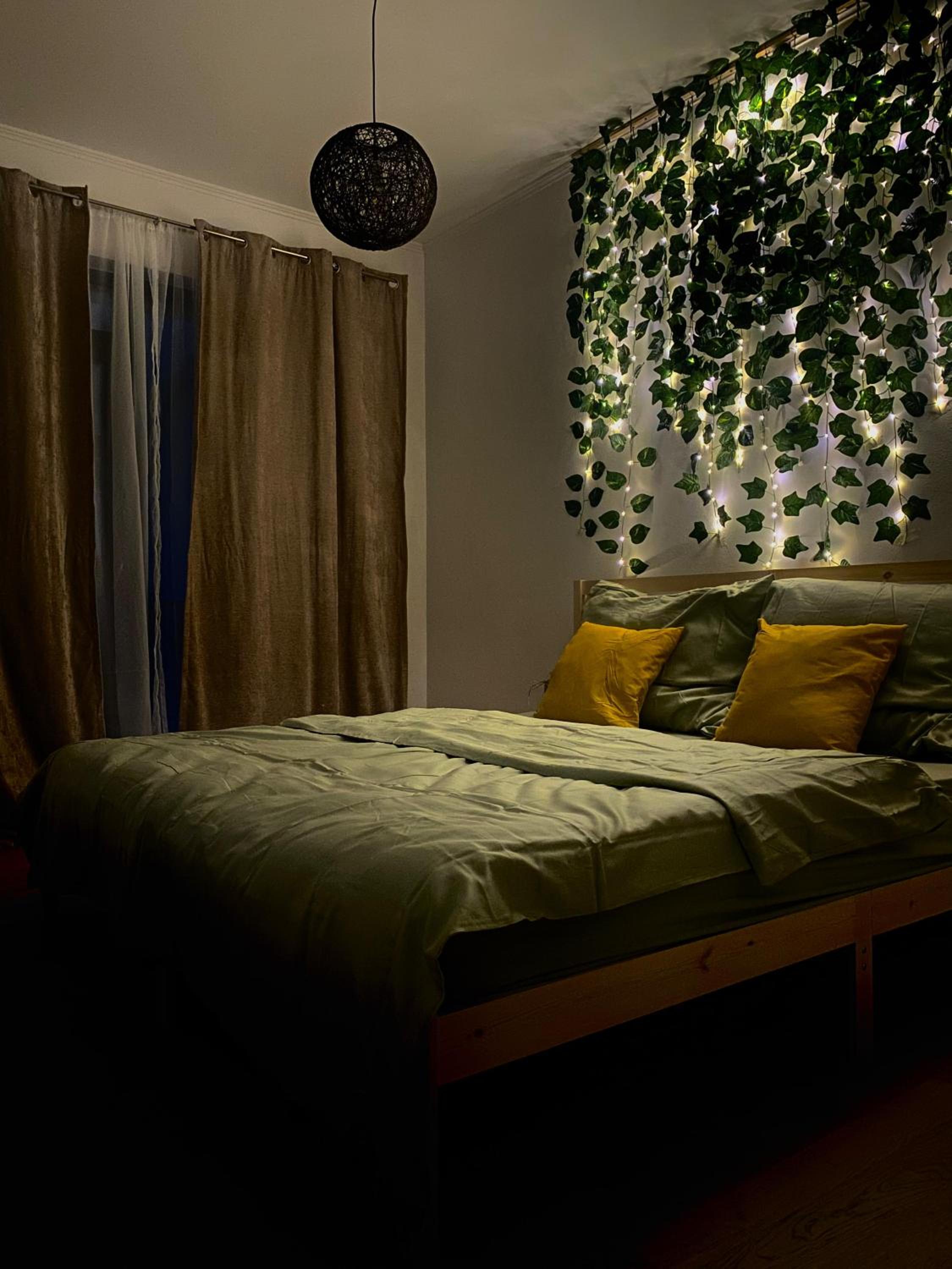 Dekan Forest Apartments Timisoara view 2