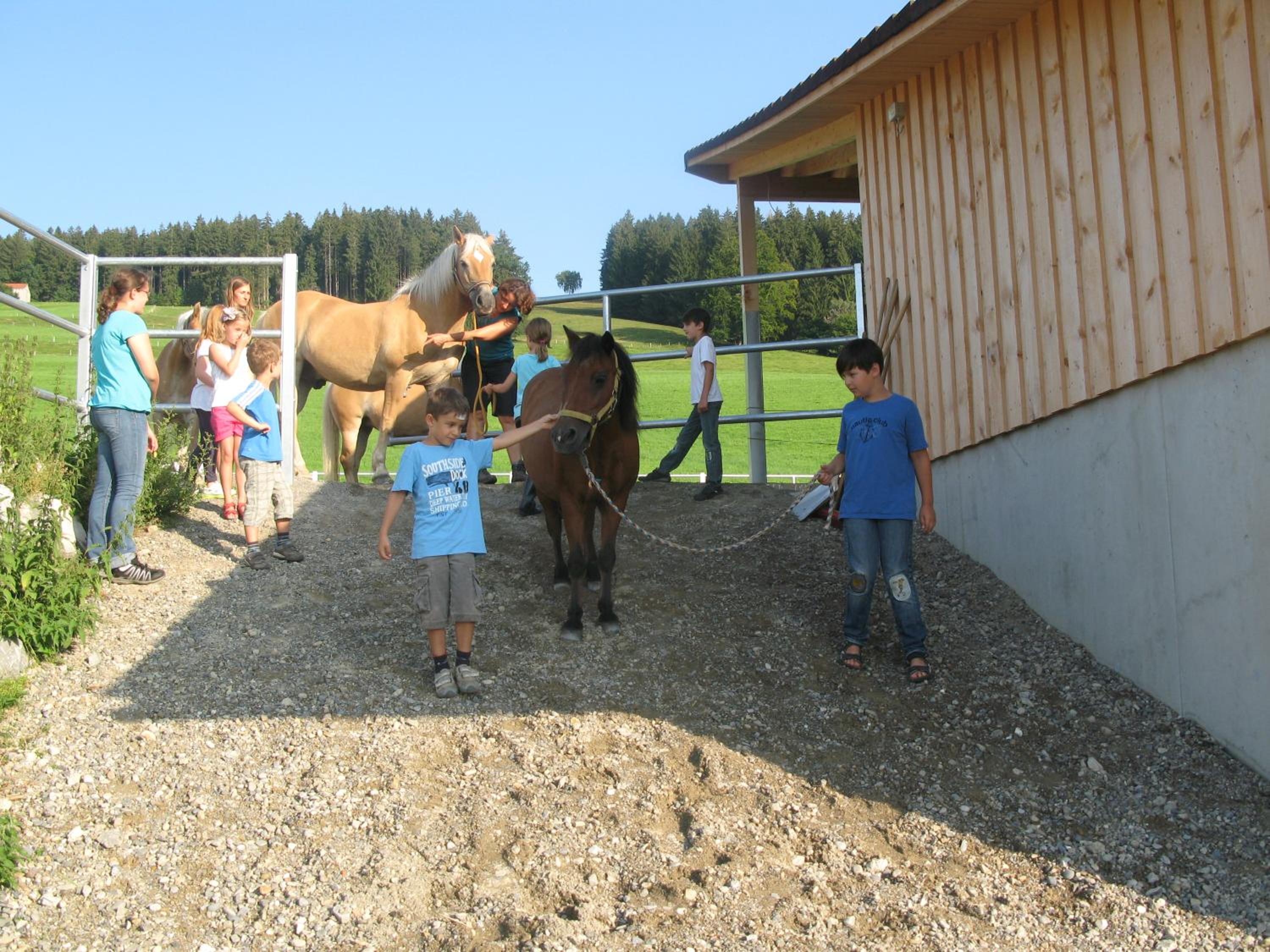 Ferienhof Sinz im Allgäu