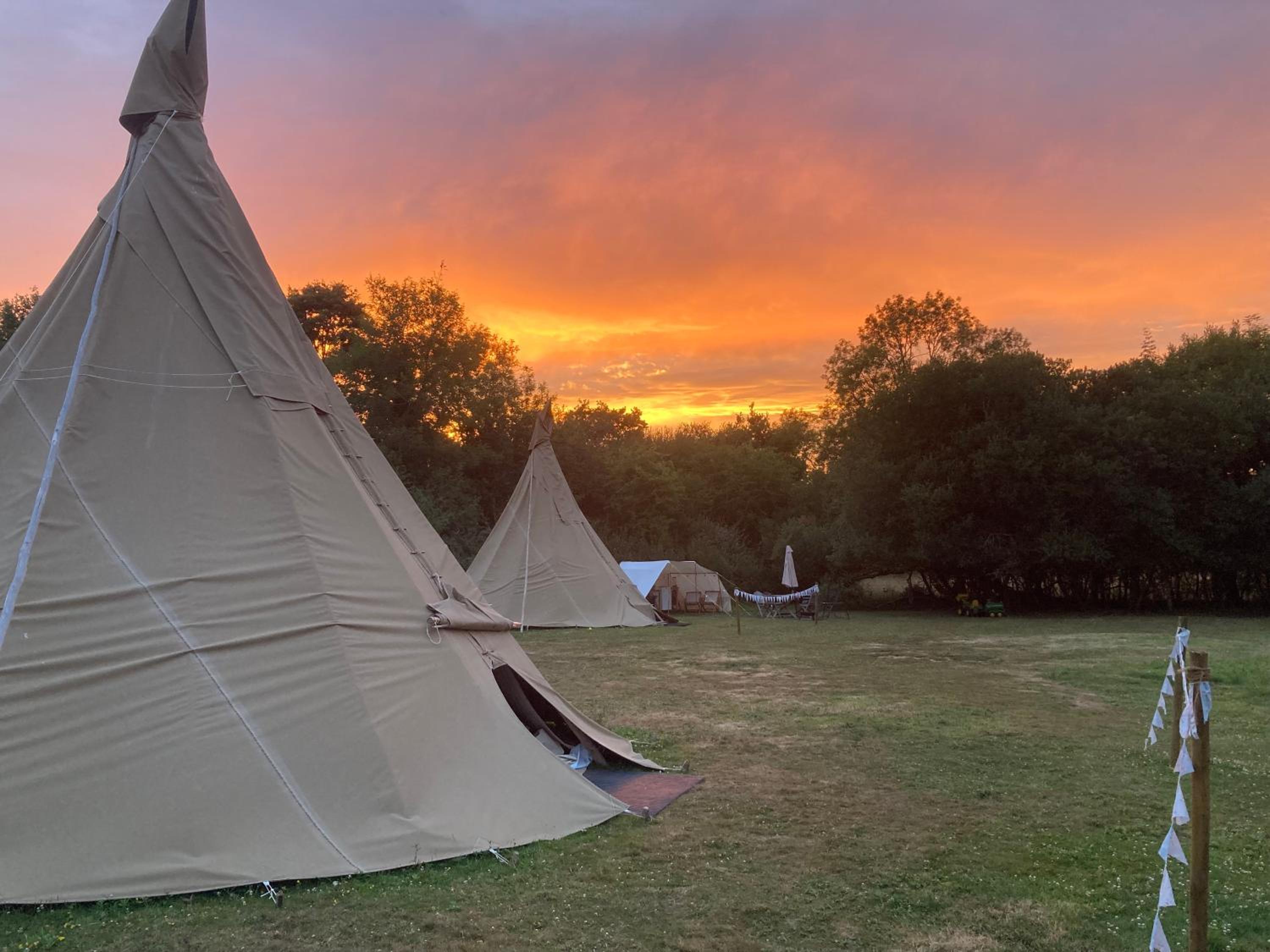 Hillcroft Holiday - Dragonfly Lodge, Woody Hut & Alpaca My Tipi Glamping view 4