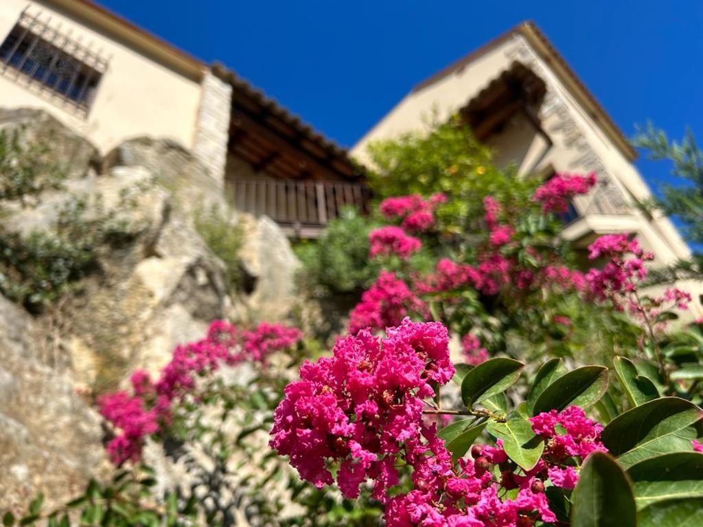 Luxury Villa Girona Bellissimo
