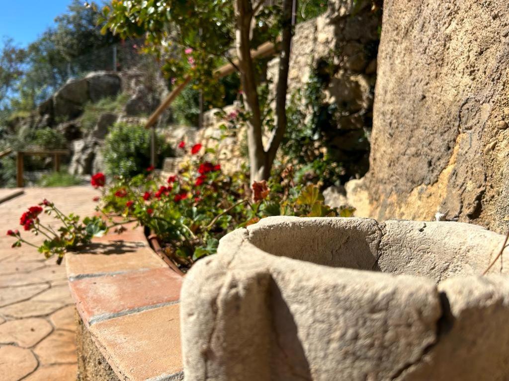 Luxury Villa Girona Bellissimo