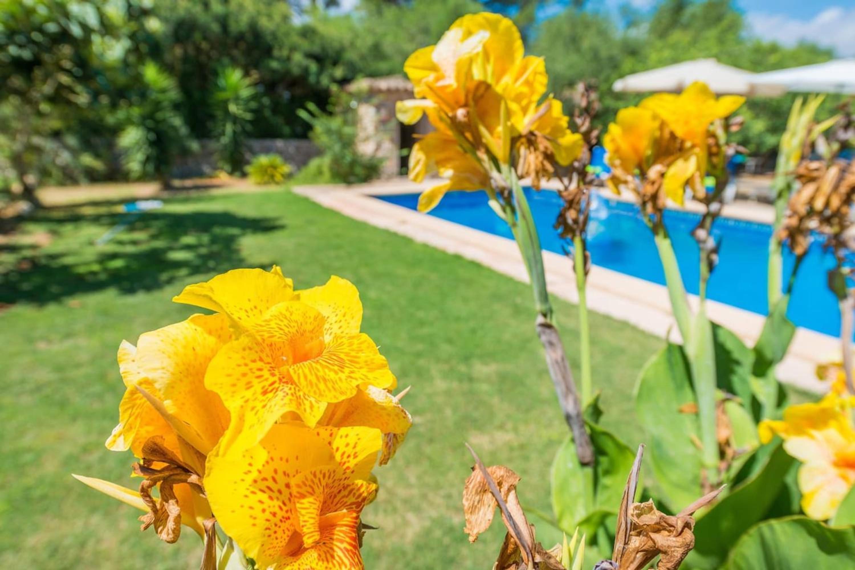 Charming villa in Manacor with shared pool