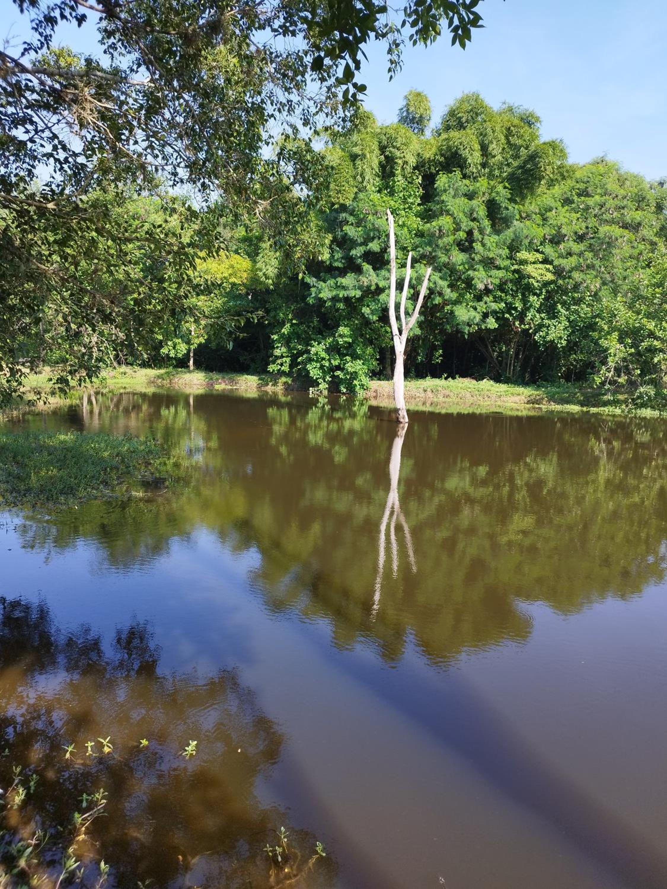 Sítio refúgio do lago