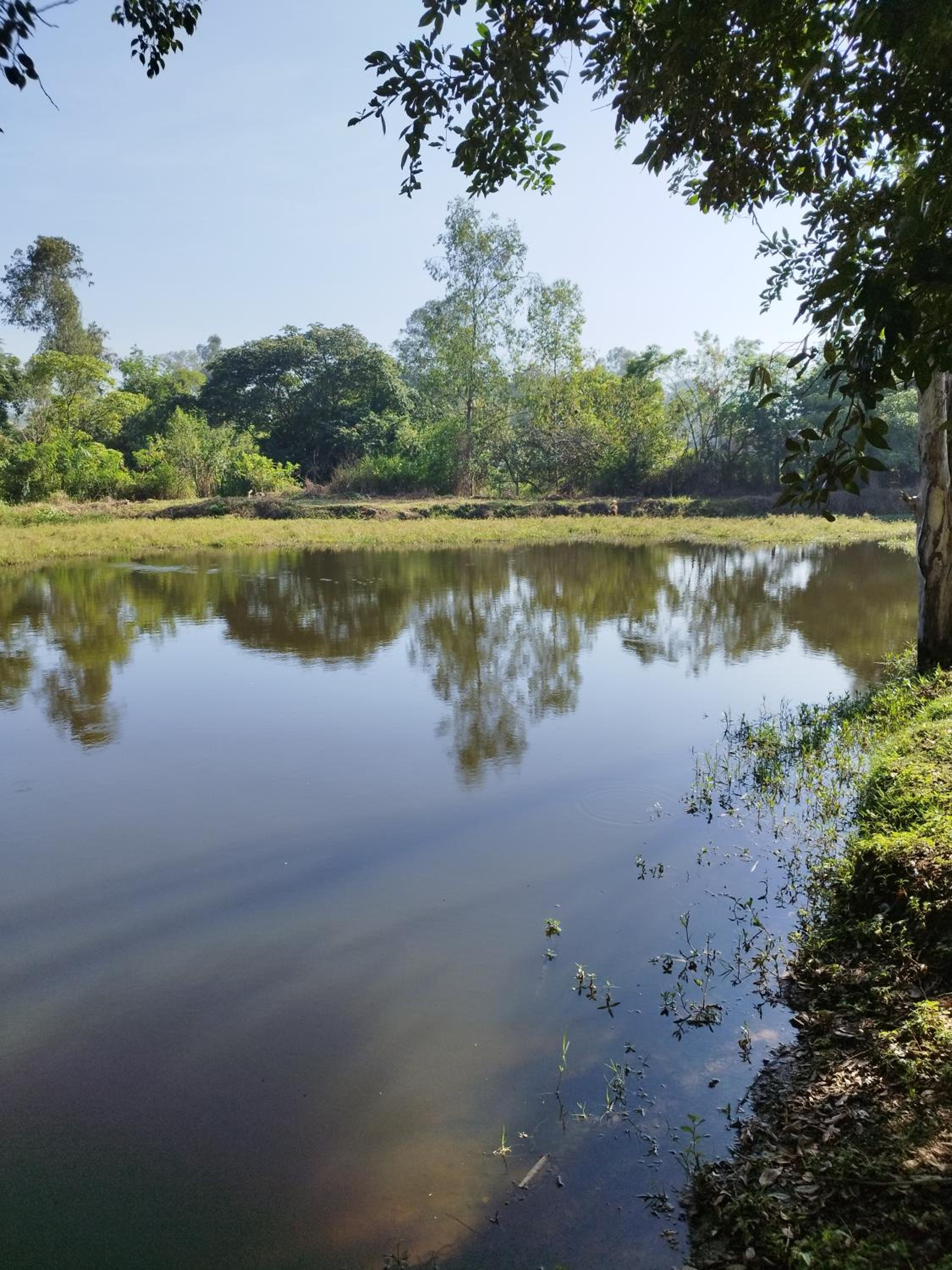 Sítio refúgio do lago