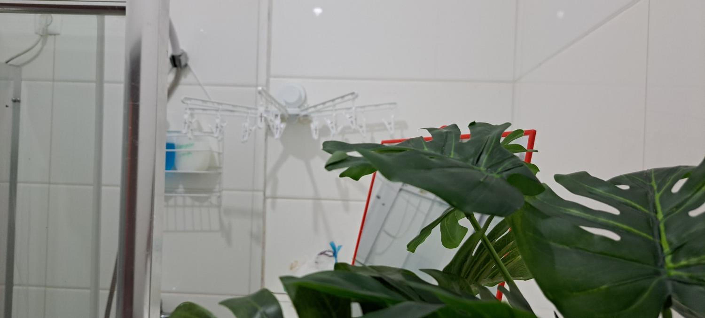 Homestay Maio Apartment