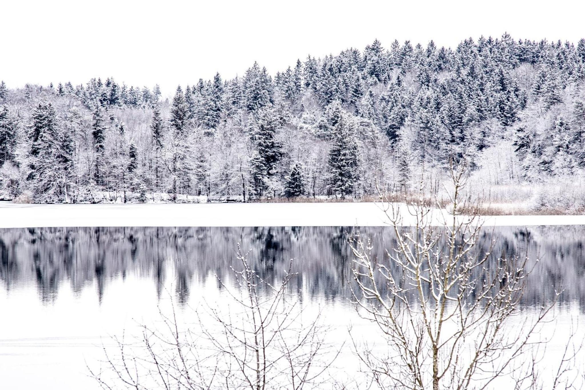 Ferienwohnung Weitblick