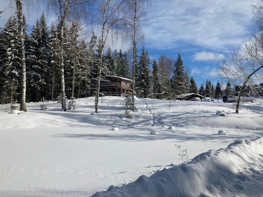 Elupuu forest cabin with sauna