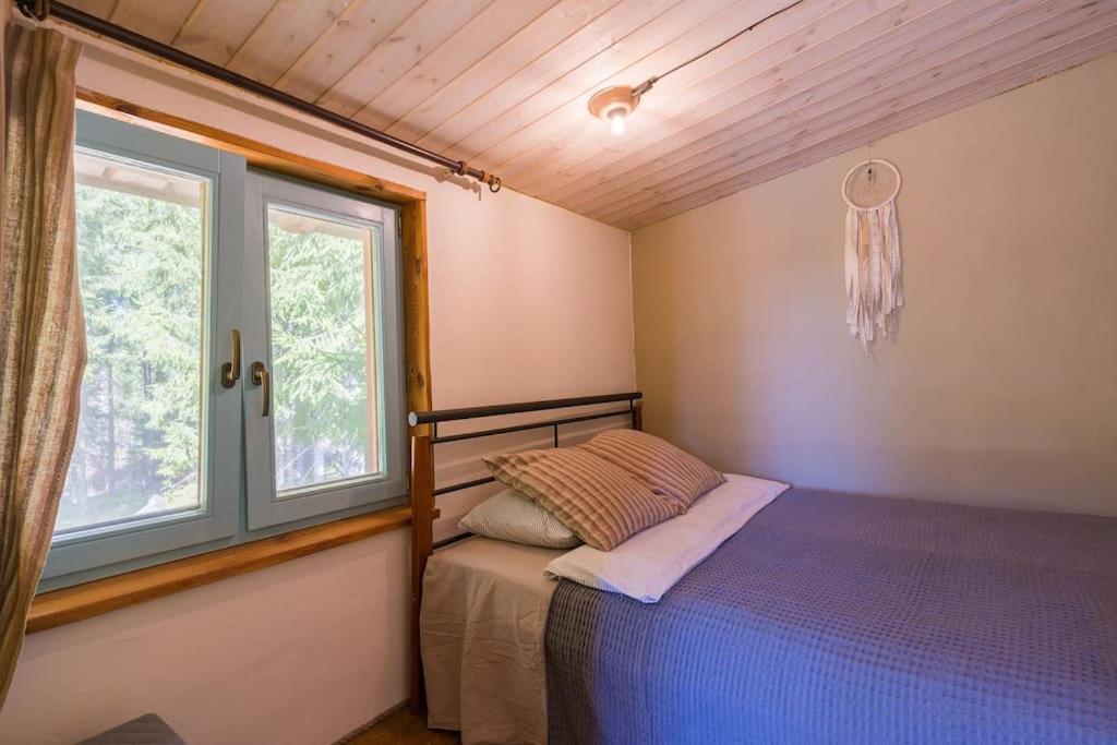Elupuu forest cabin with sauna