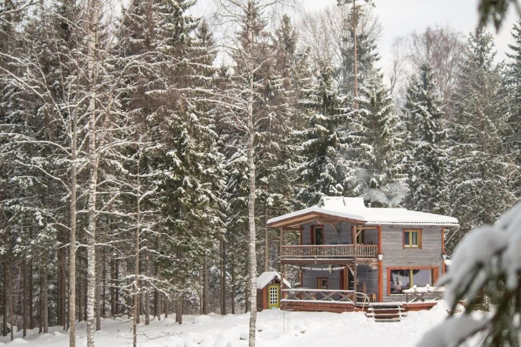 Elupuu forest cabin with sauna