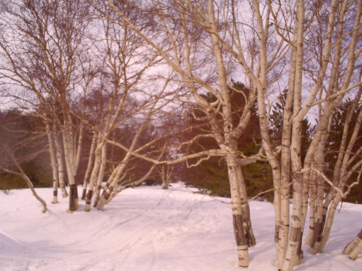 La Finestra sull'Etna