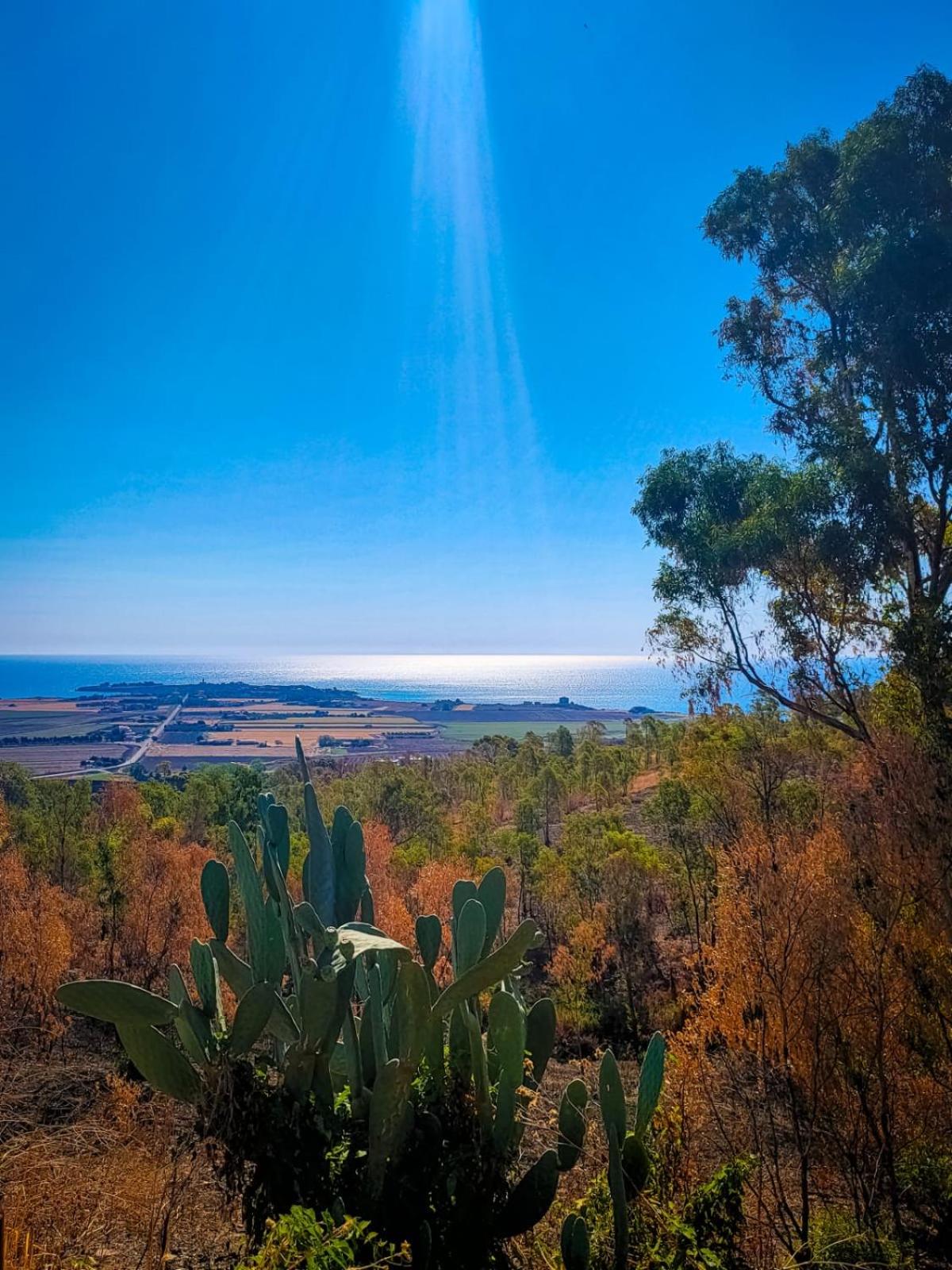 B&B Mare Calabria view 3