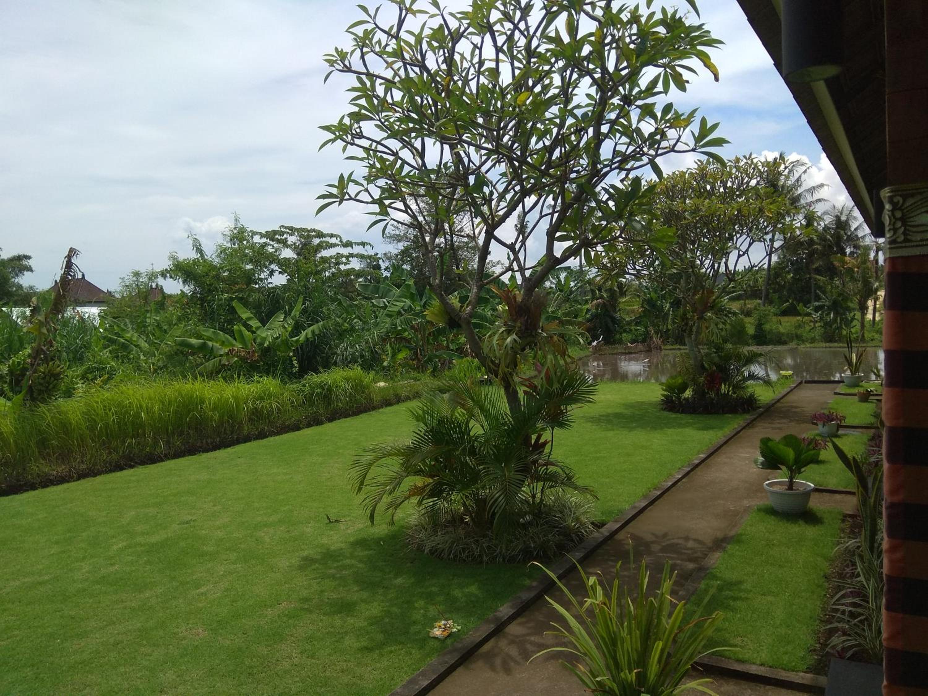 Tamiu Guesthouse at Desa Wisata Keramas Near Keramas Surf Beach