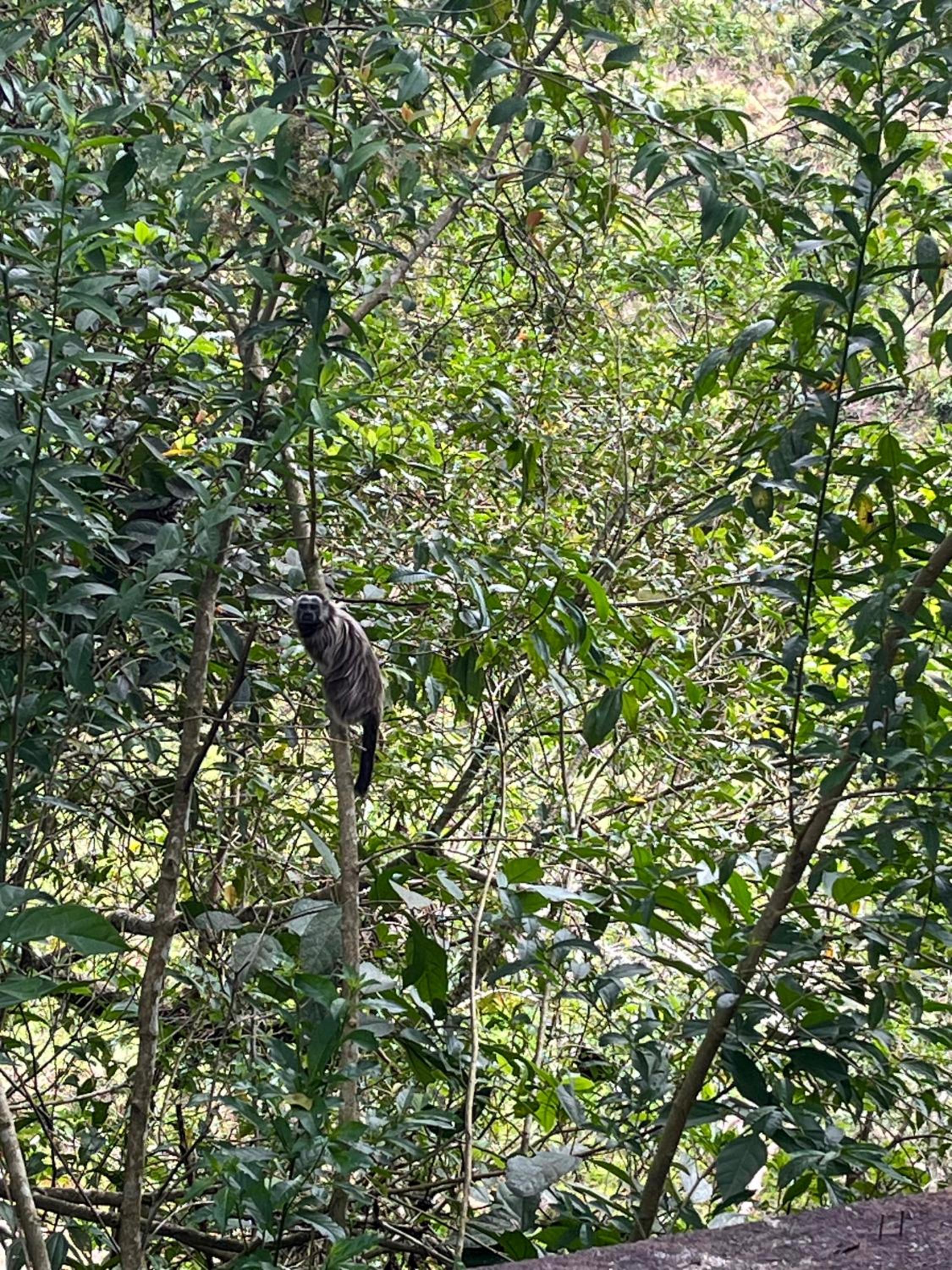 Casa Clandestina Campestre
