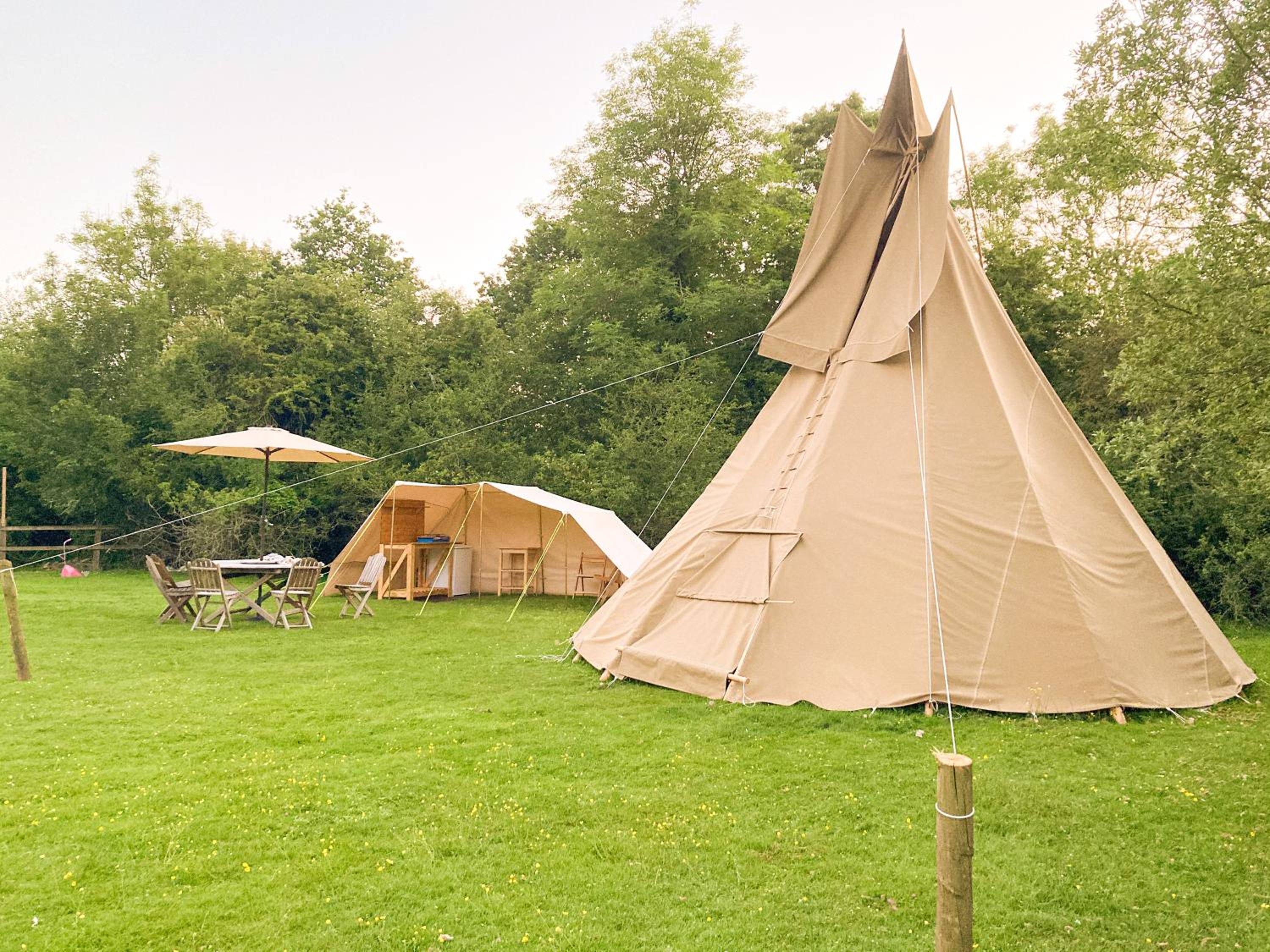 Hillcroft Holiday - Dragonfly Lodge, Woody Hut & Alpaca My Tipi Glamping view 5