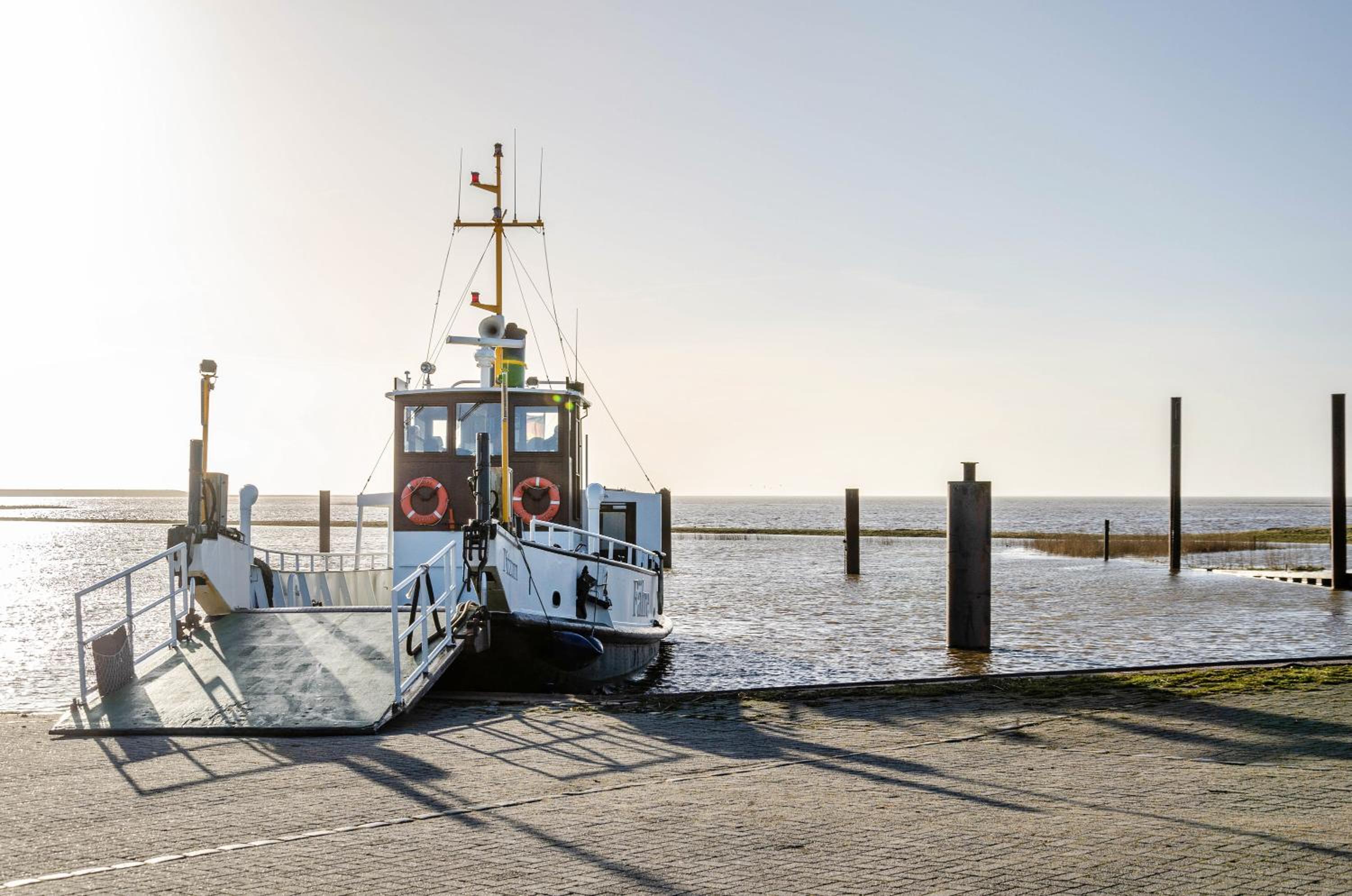 Gulfhof Oldersum 2 Ferienwohnungen