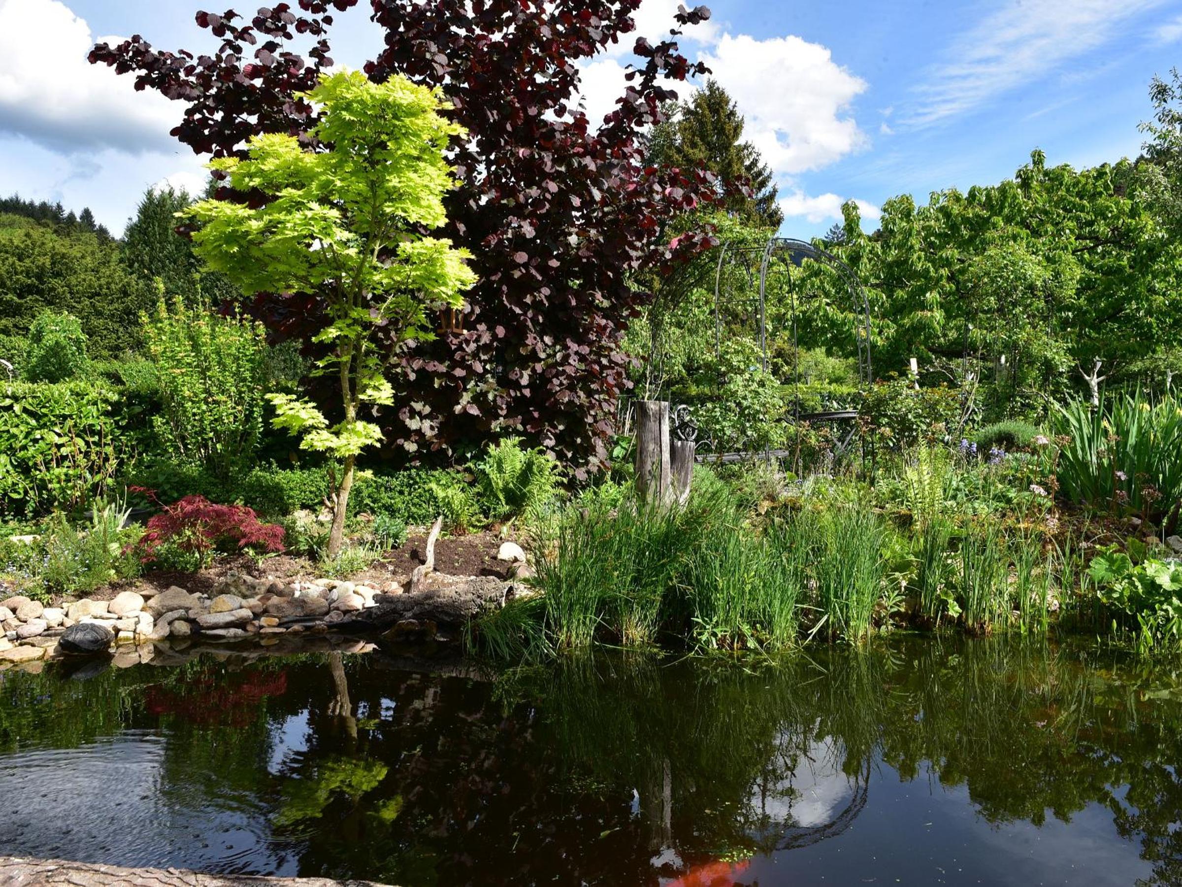 Photo 25