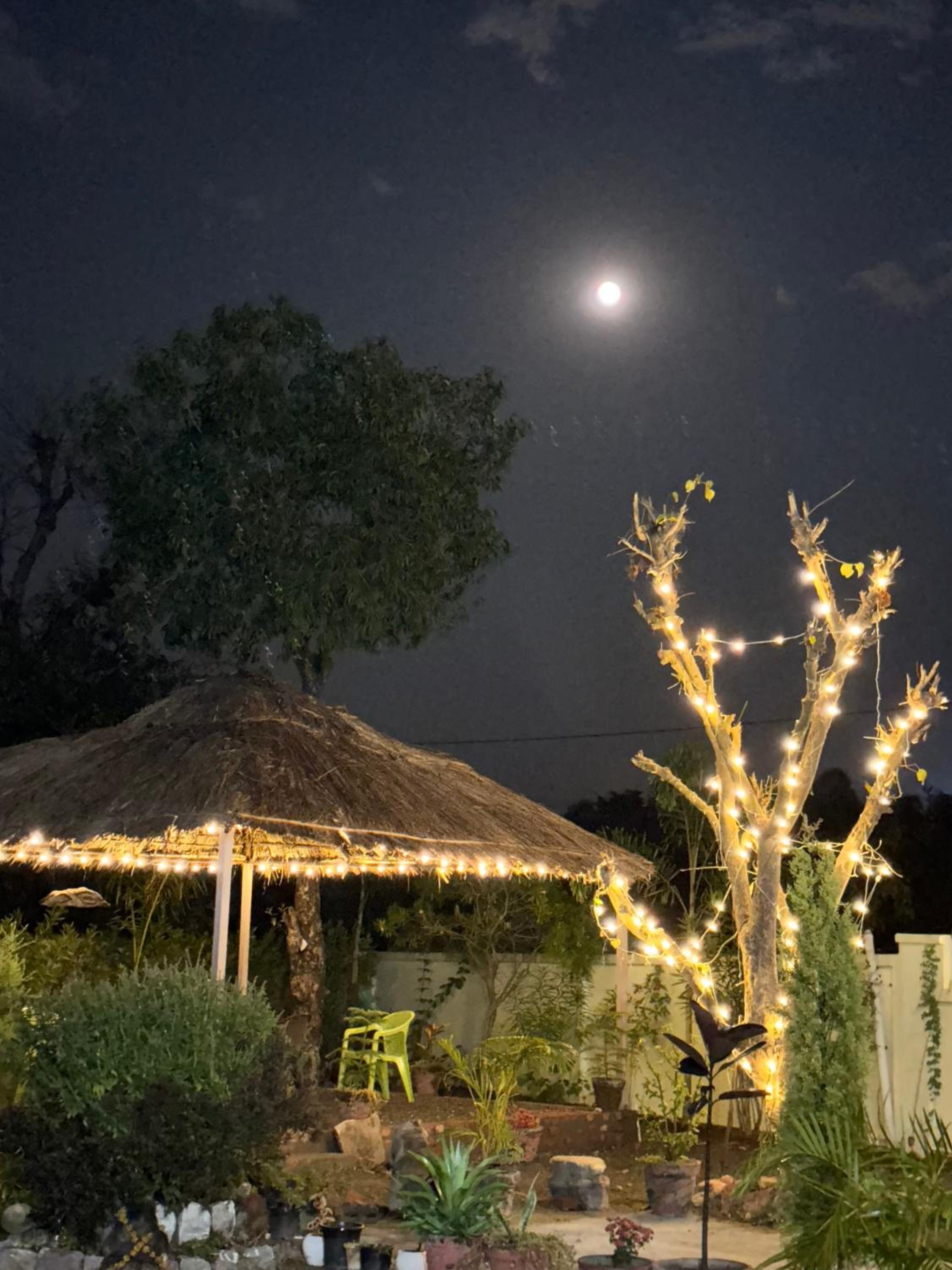 Rajaji Retreat Resort