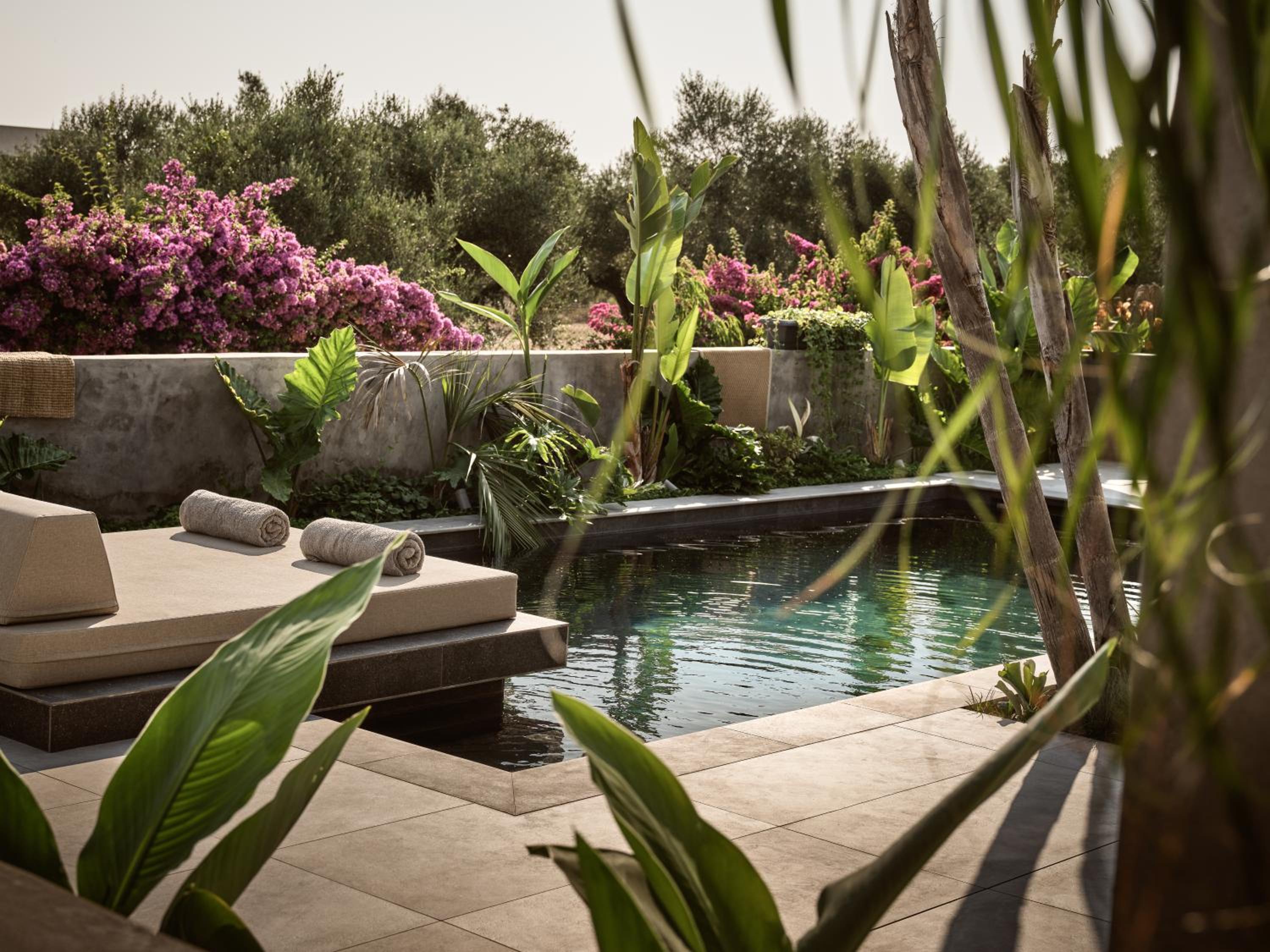 Theros Exotica Loft Villa Contemporary 2BR W pool in Tsilivi Hills photo 3