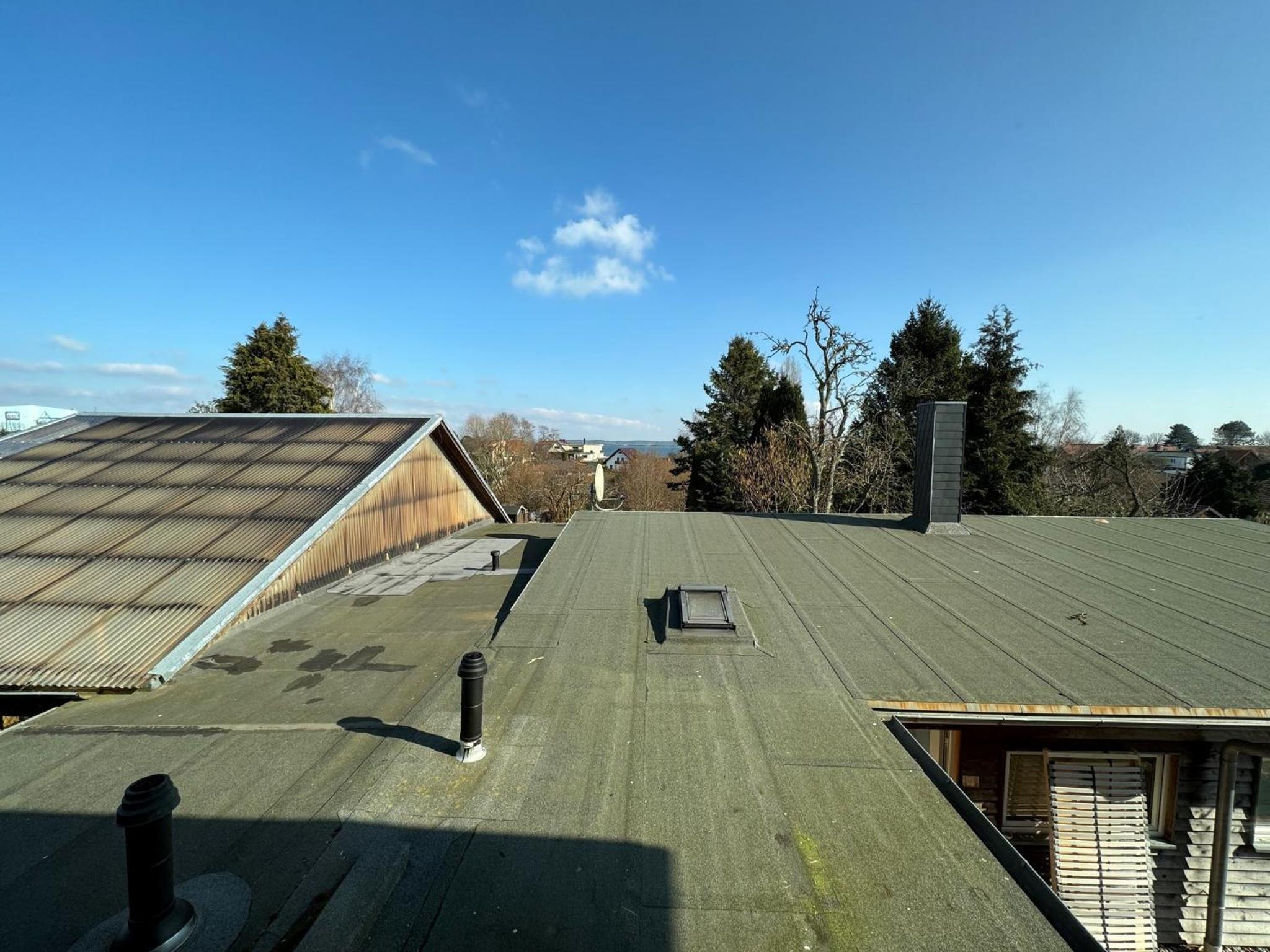 roof