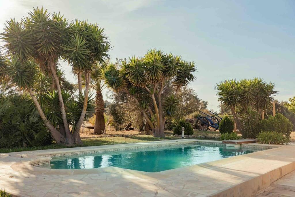Charming Ibiza villa
