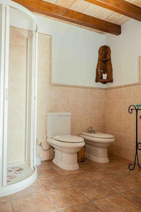 Charming Ibiza villa
