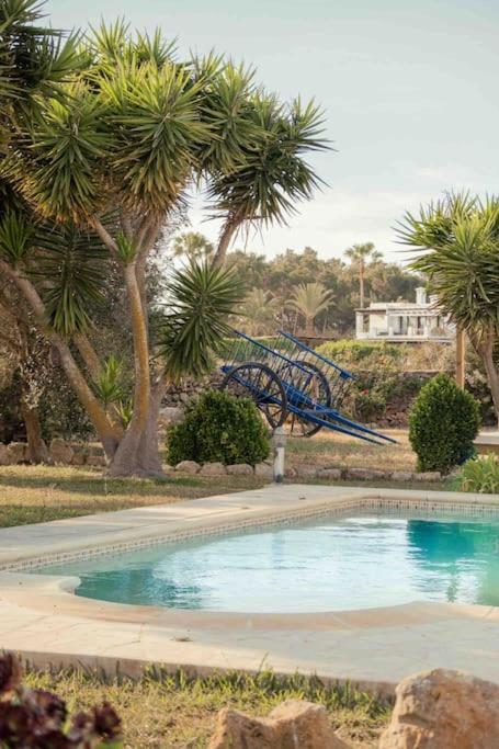 Charming Ibiza villa