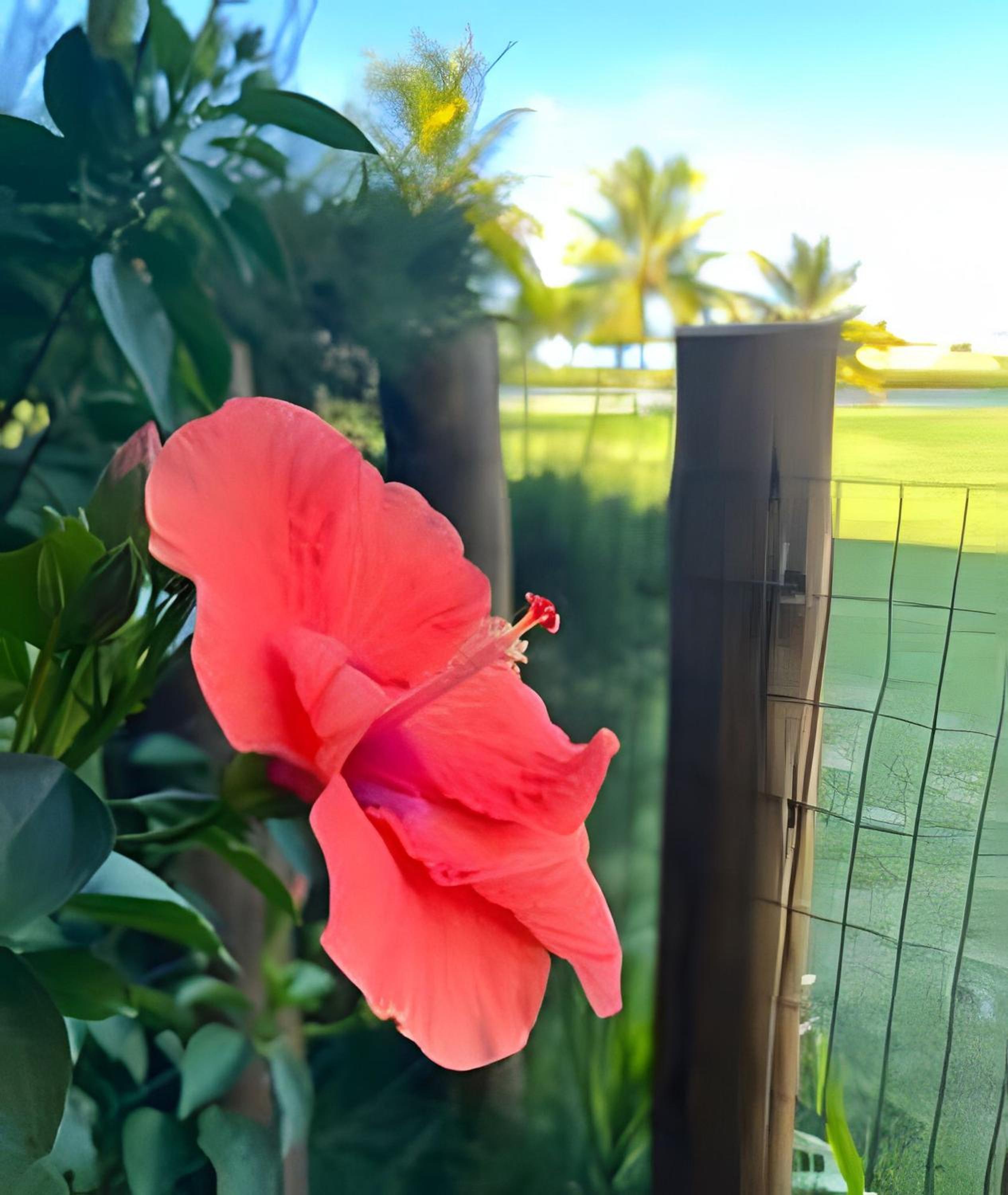 Condomínio Resort Vila das Águas