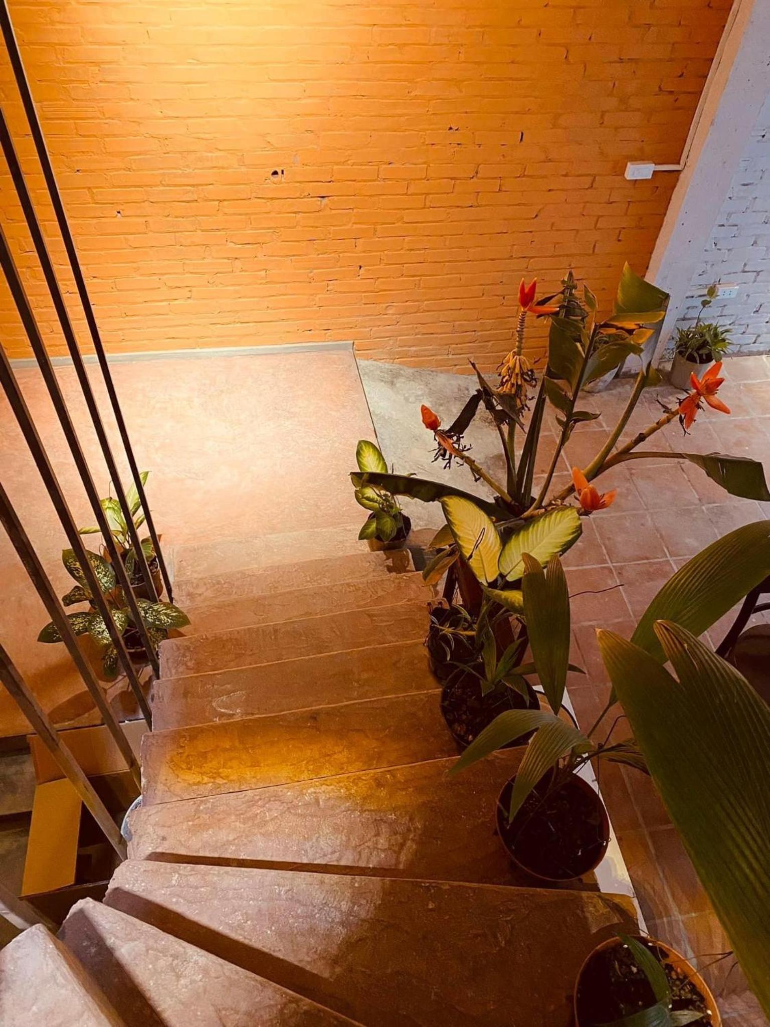 May's house (Nhà của Mây)