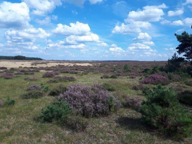 Natuurhuisje