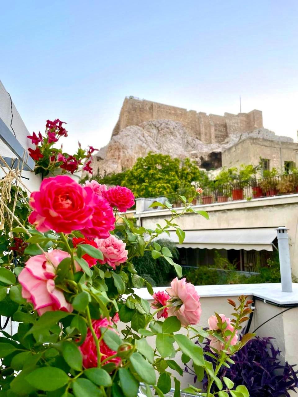 The Acropolis House of Flowers~Private Roof Garden
