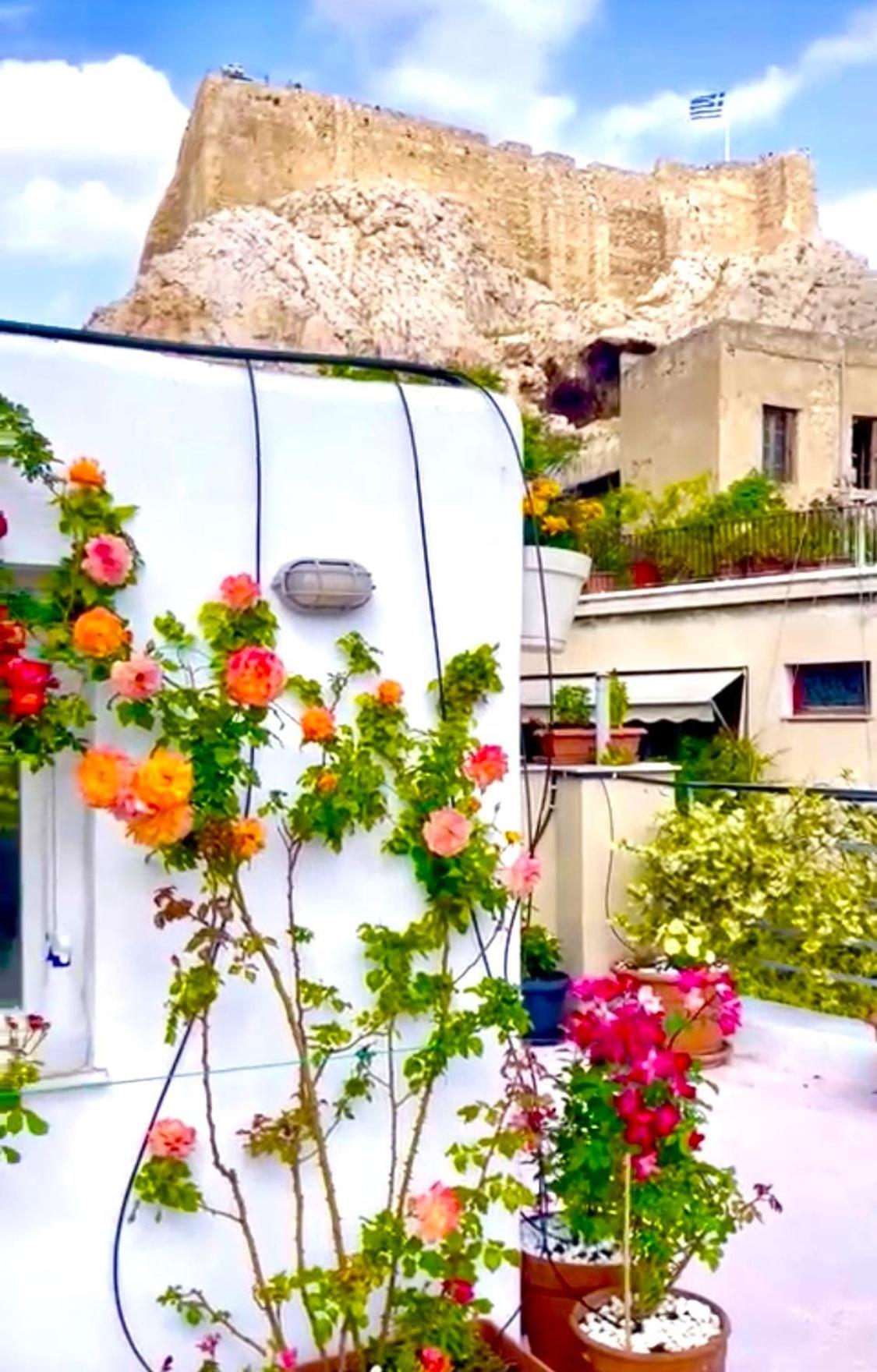 The Acropolis House of Flowers~Private Roof Garden
