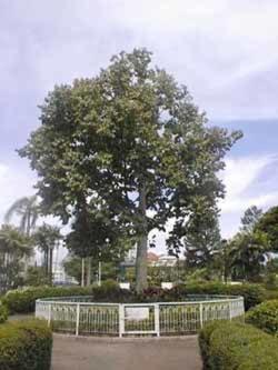 Photo 48
