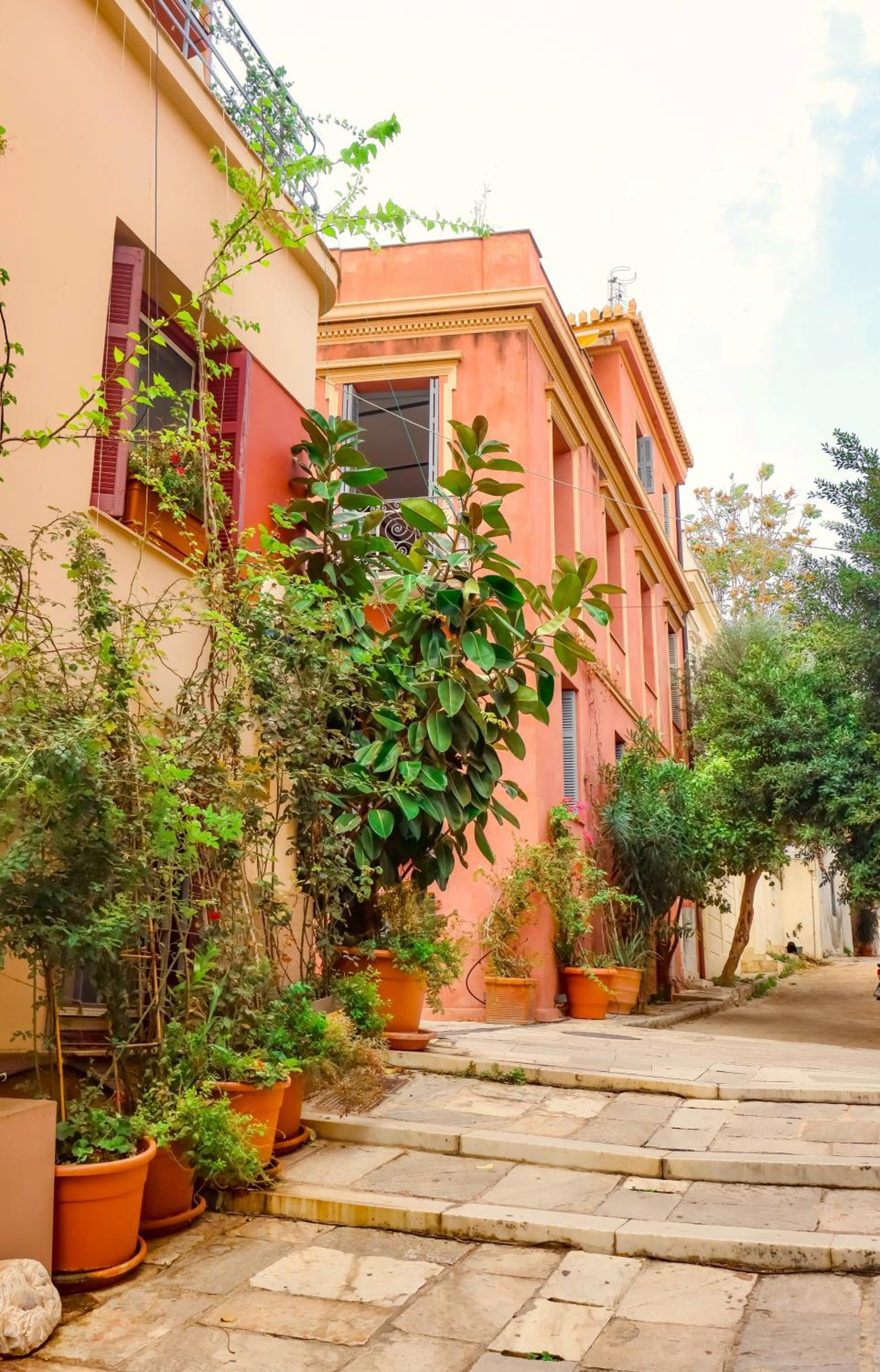 The Acropolis House of Flowers~Private Roof Garden