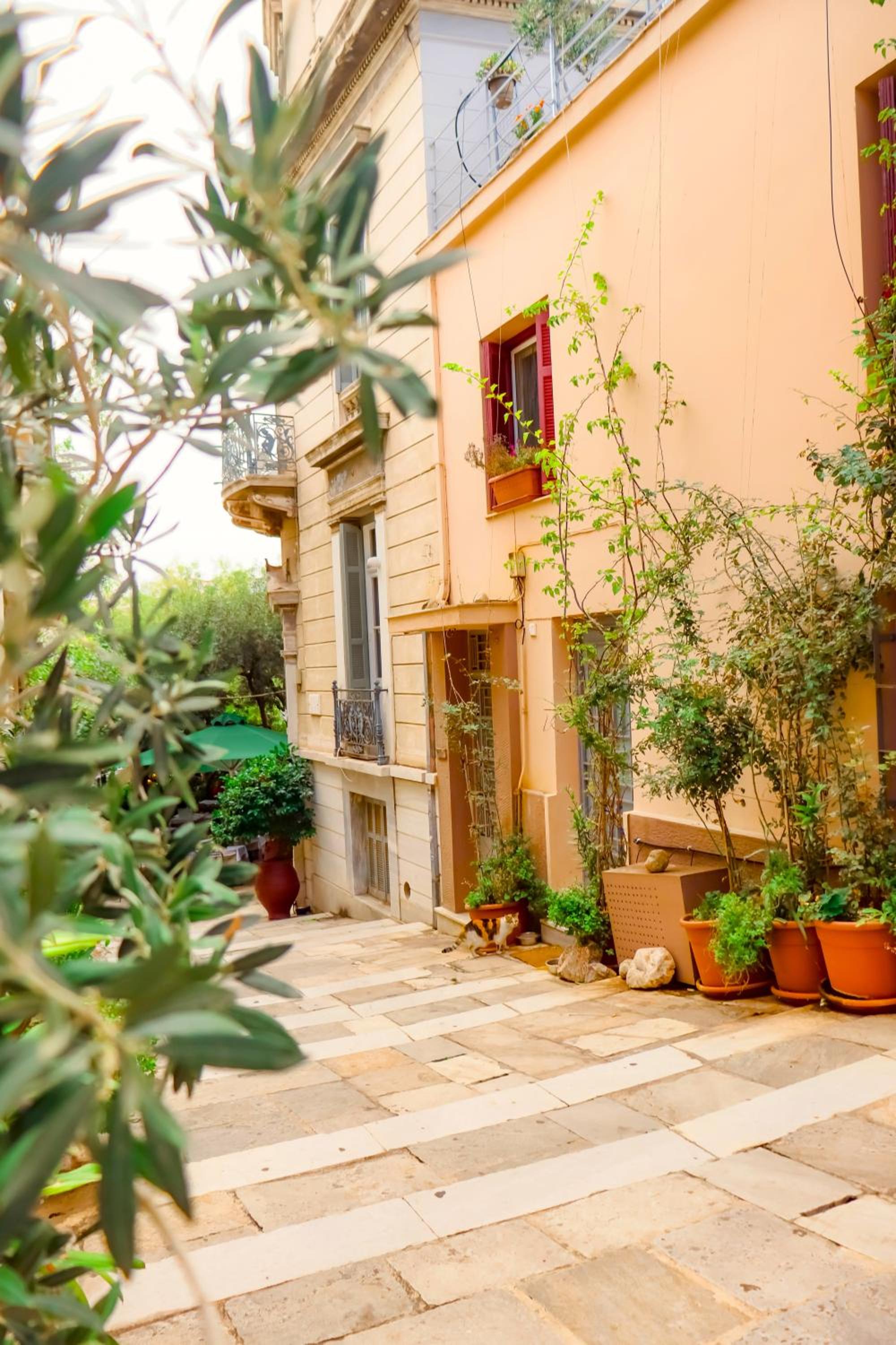The Acropolis House of Flowers~Private Roof Garden