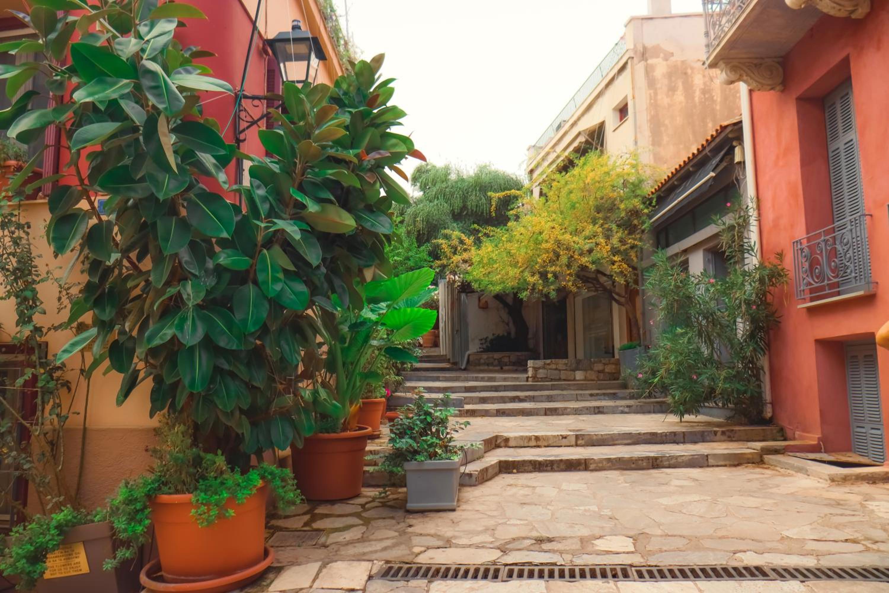 The Acropolis House of Flowers~Private Roof Garden