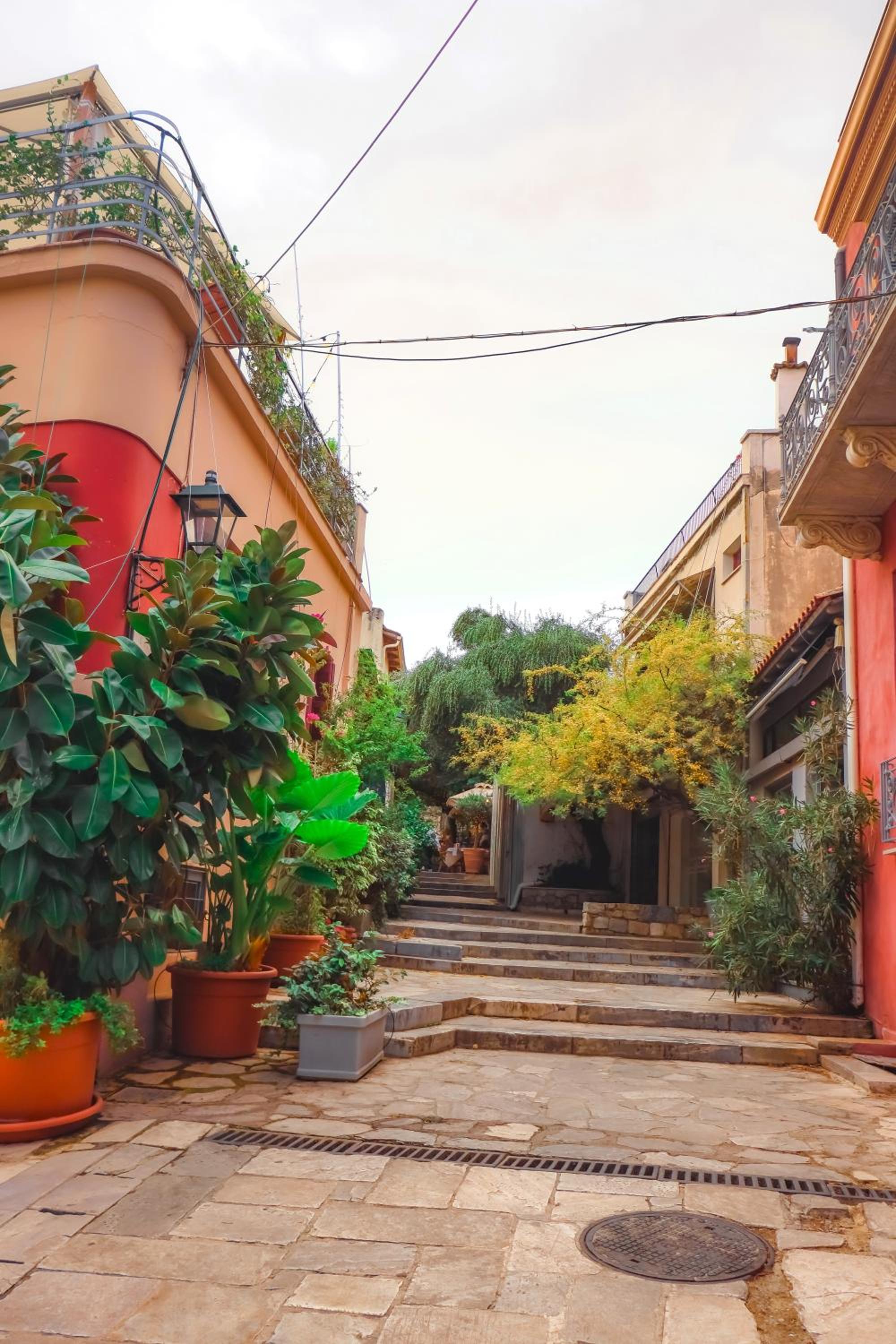 The Acropolis House of Flowers~Private Roof Garden