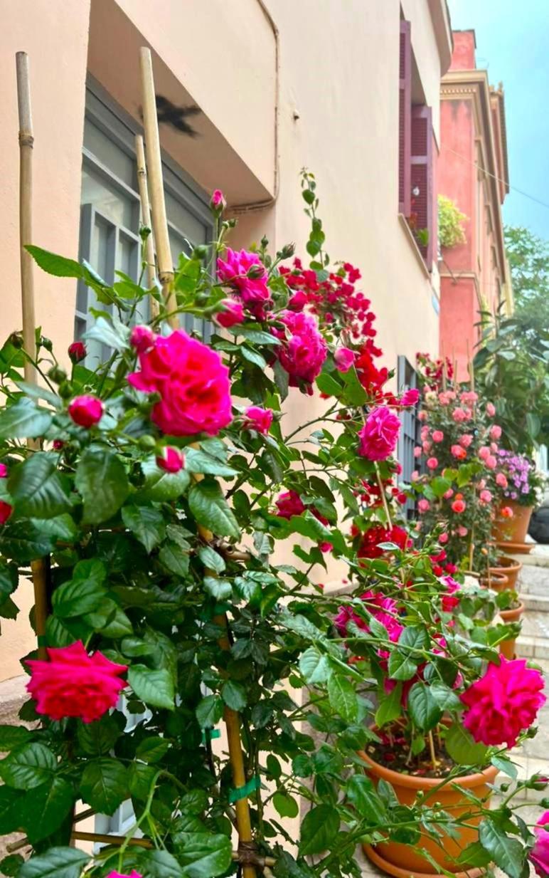 The Acropolis House of Flowers~Private Roof Garden