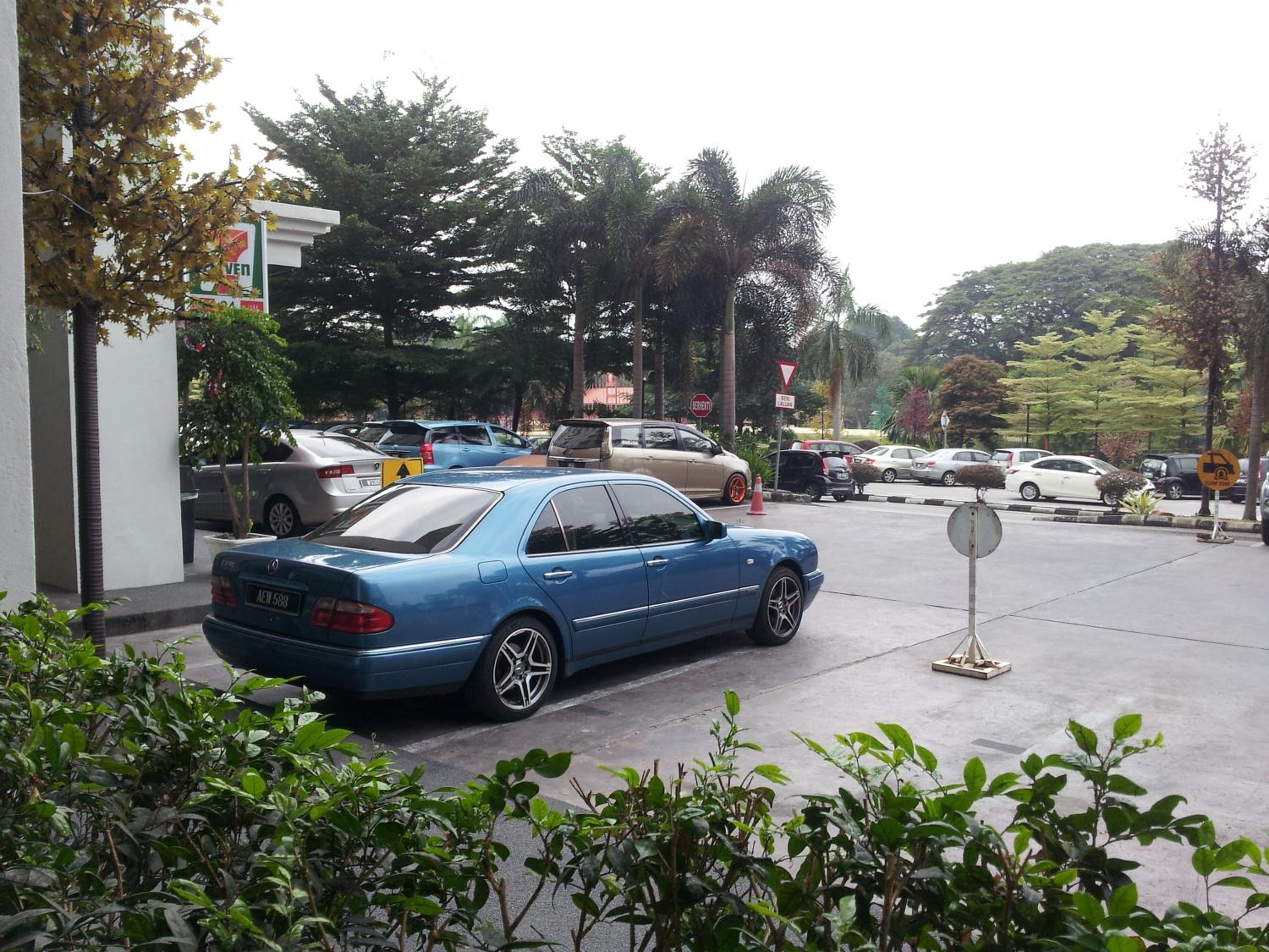 Photo 44